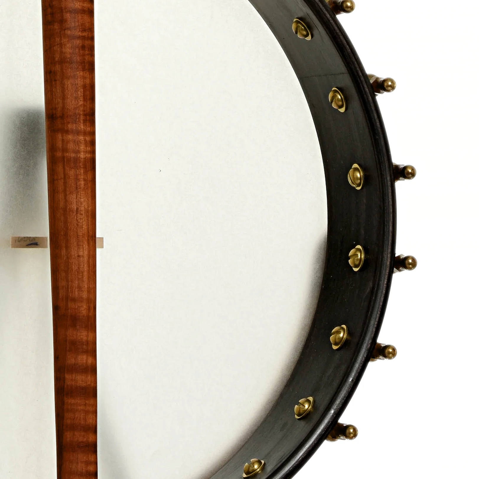 Starr Banjos 13" Openback Banjo & Gigbag, Curly Maple - Image 10