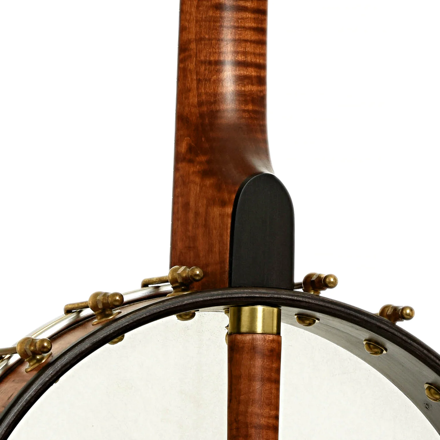 Starr Banjos 13" Openback Banjo & Gigbag, Curly Maple - Image 11