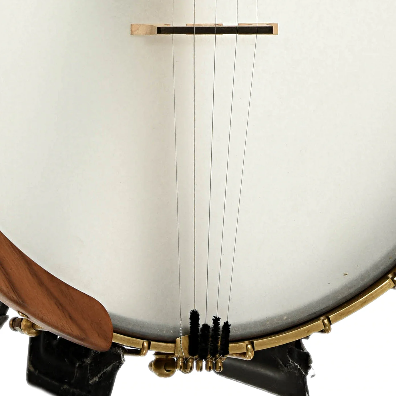 Starr Banjos 13" Openback Banjo & Gigbag, Curly Maple - Image 5