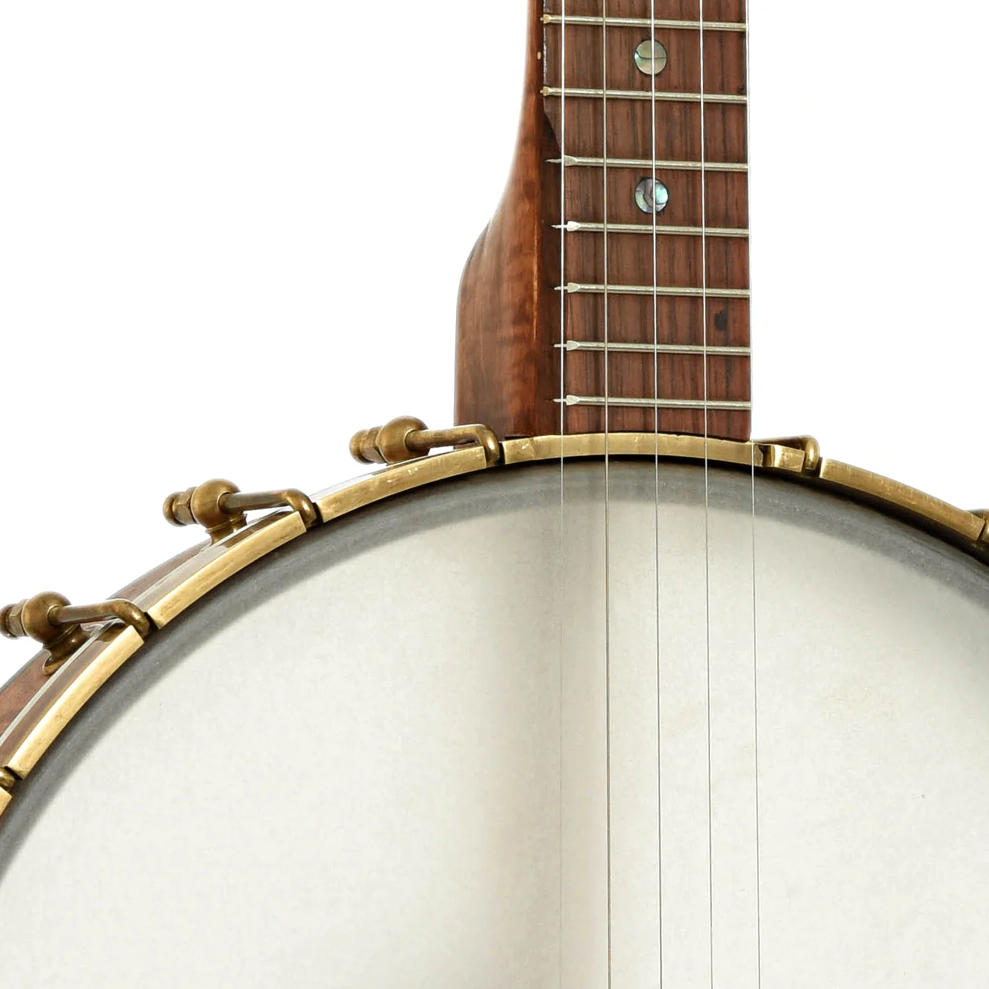 Starr Banjos 13" Openback Banjo & Gigbag, Curly Maple - Image 6