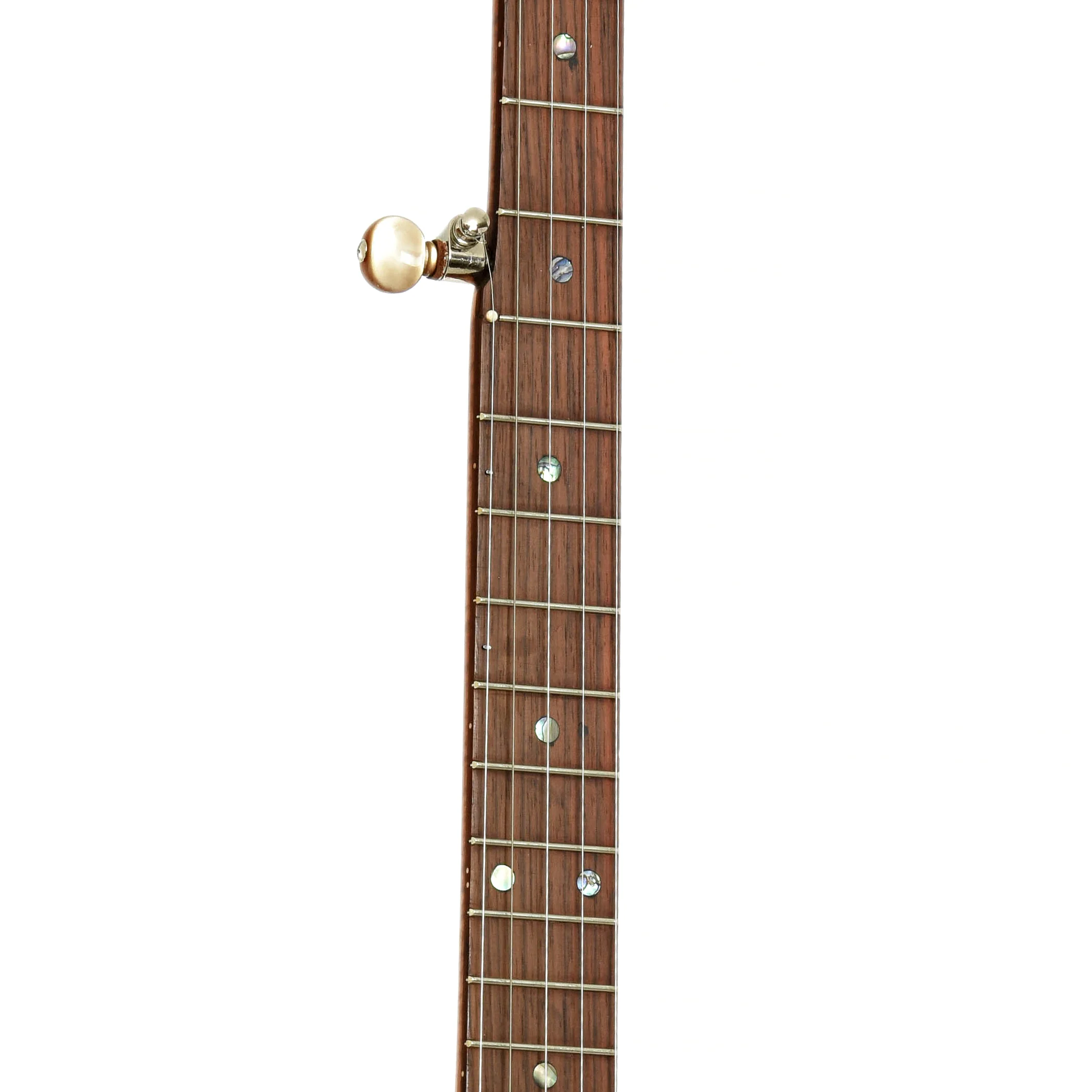 Starr Banjos 13" Openback Banjo & Gigbag, Curly Maple - Image 7