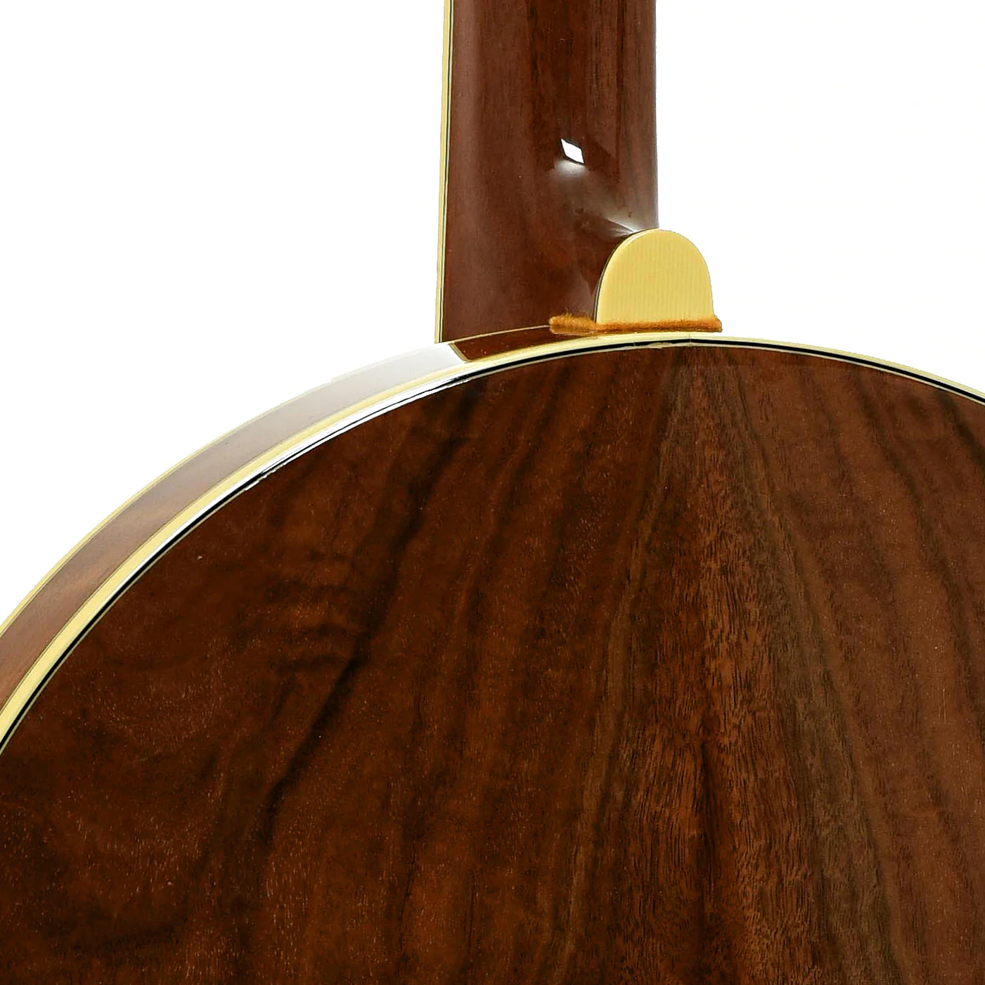 Stelling Bellflower Resonator Banjo (2006) - Image 12
