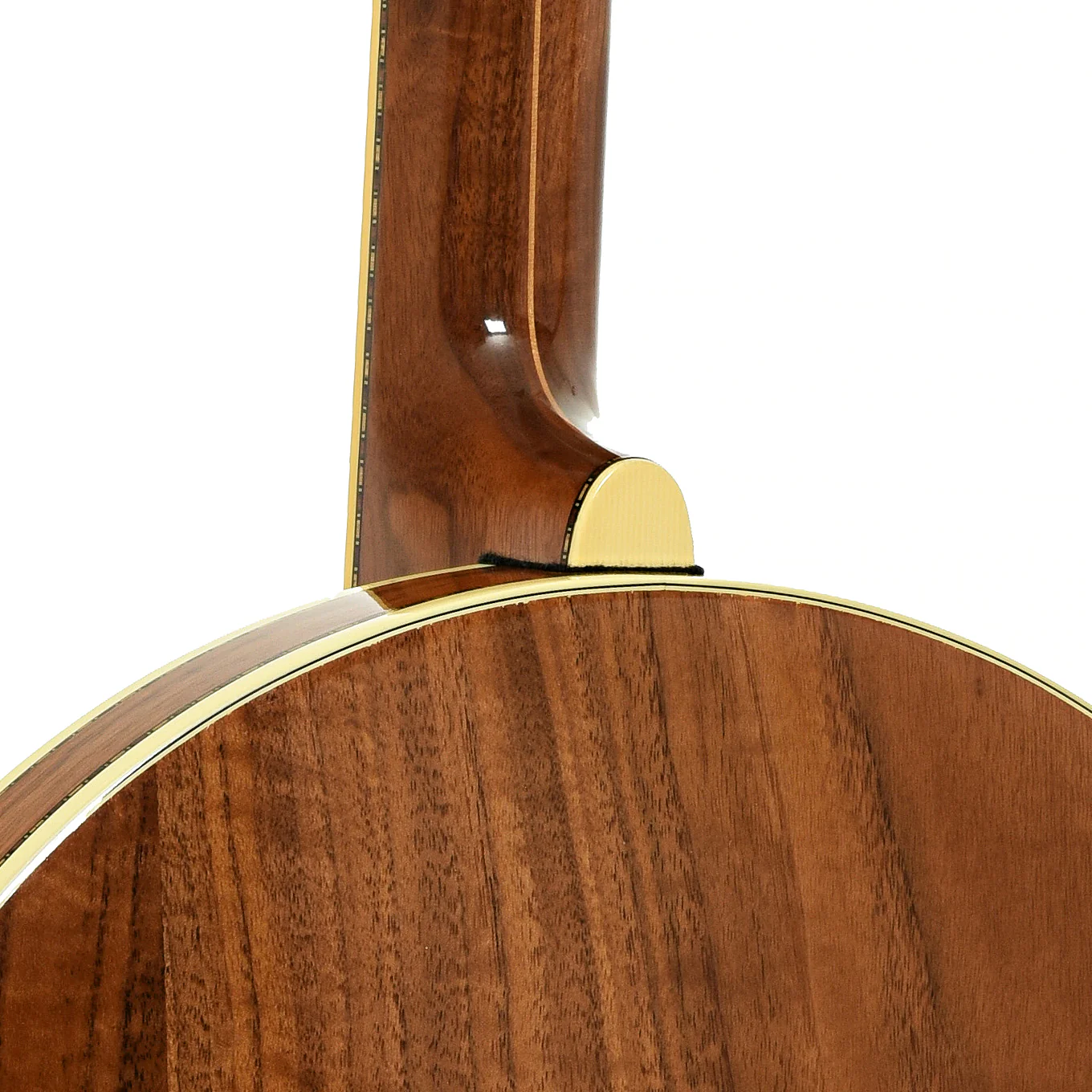 Stelling Golden Cross Walnut Resonator Banjo (1981) - Image 12