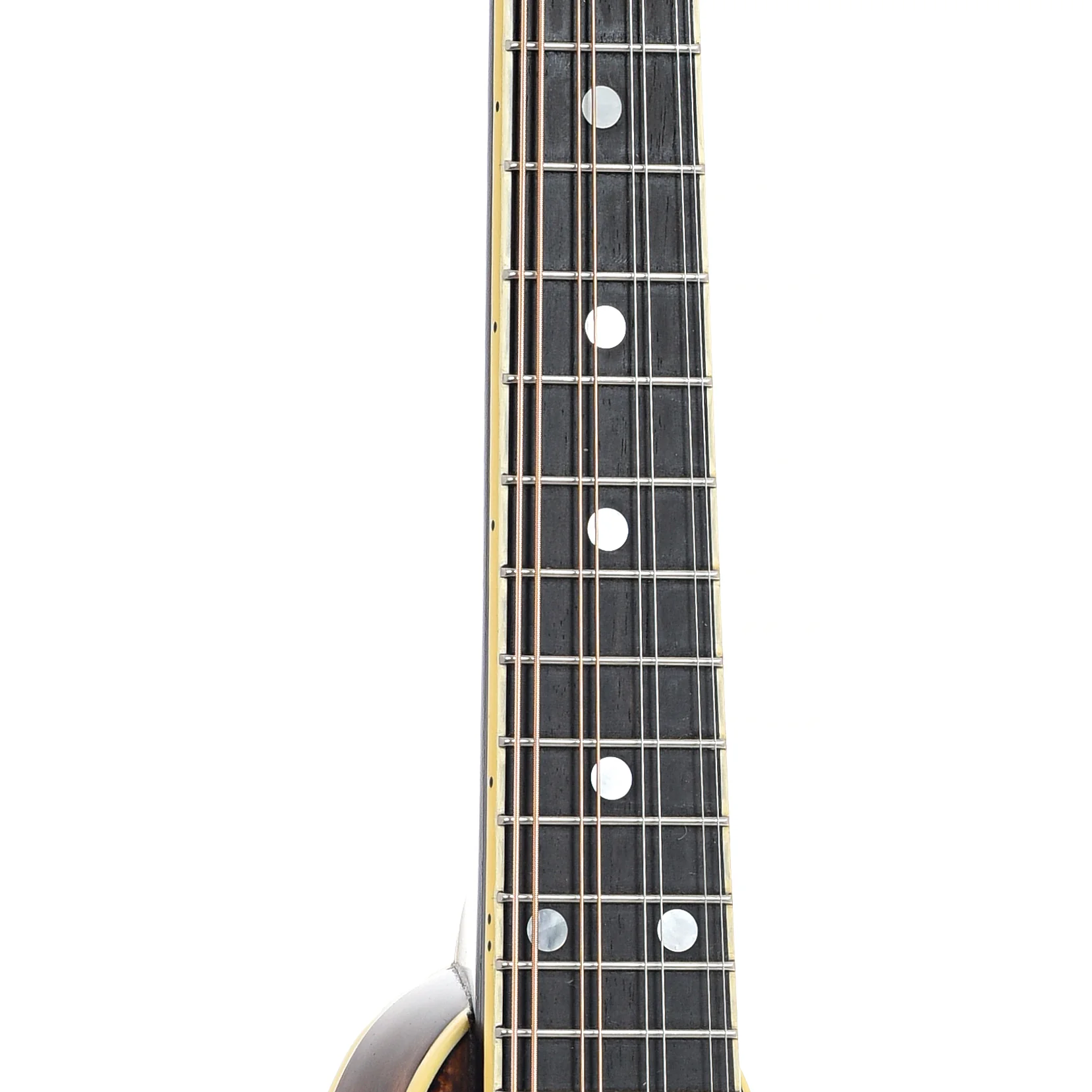 Stelling Mandolin (early 1980's) - Image 6