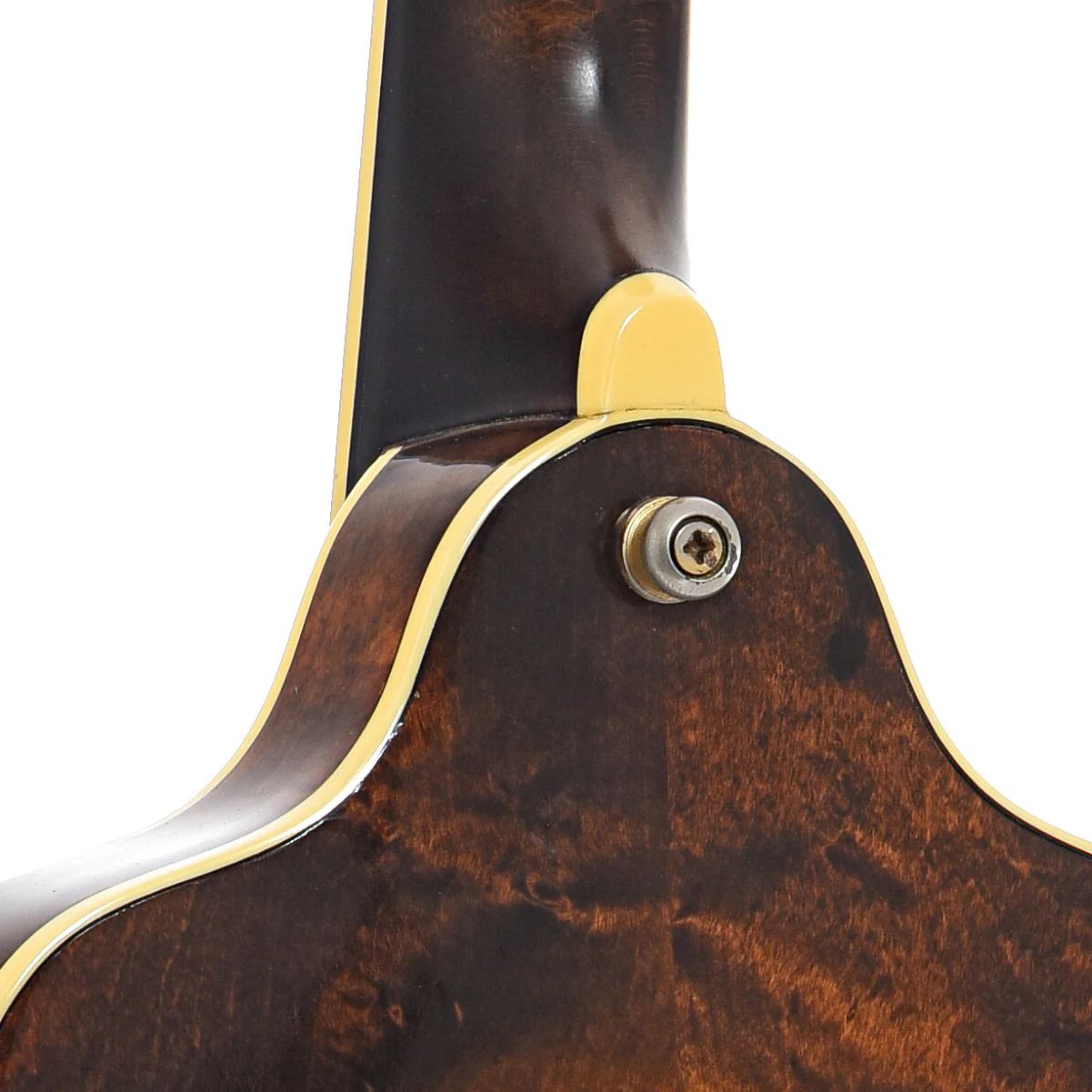 Stelling Mandolin (early 1980's) - Image 9
