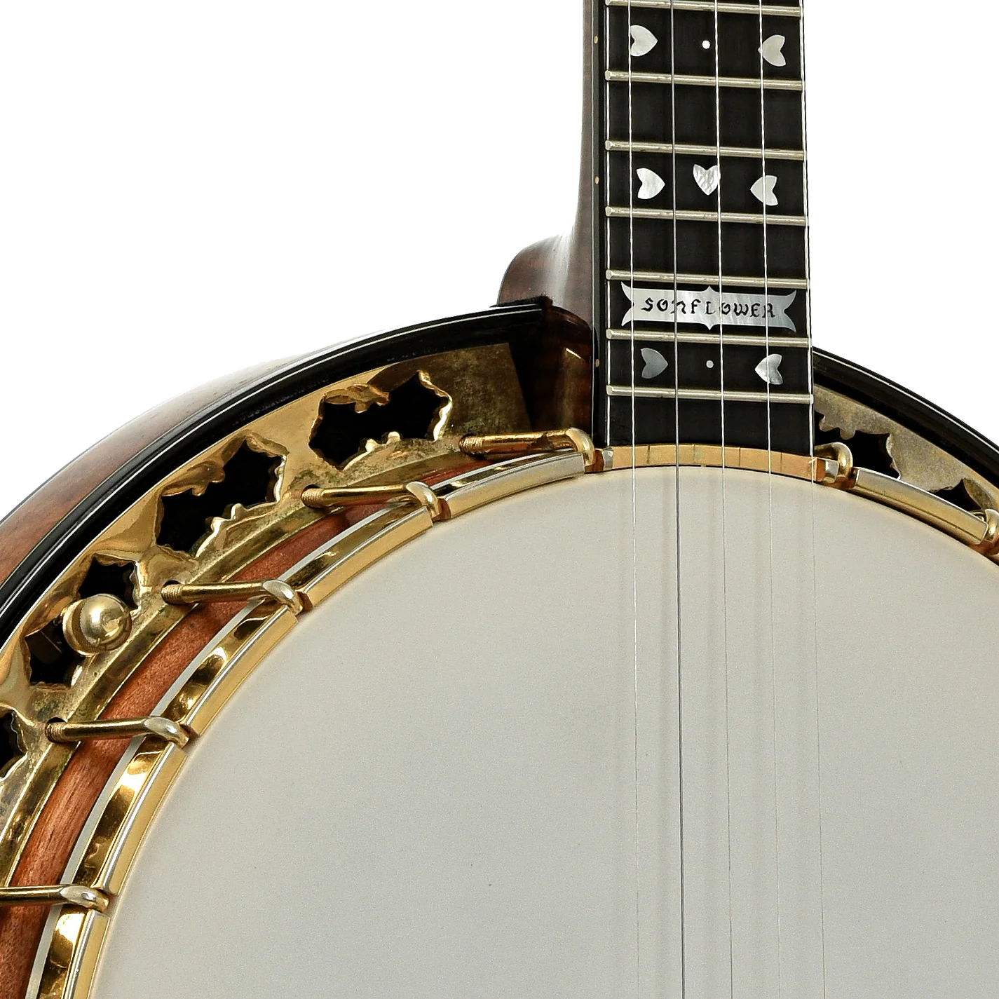 Stelling Sonny Osborne Sonflower Prototype Resonator Banjo (1979) - Image 6