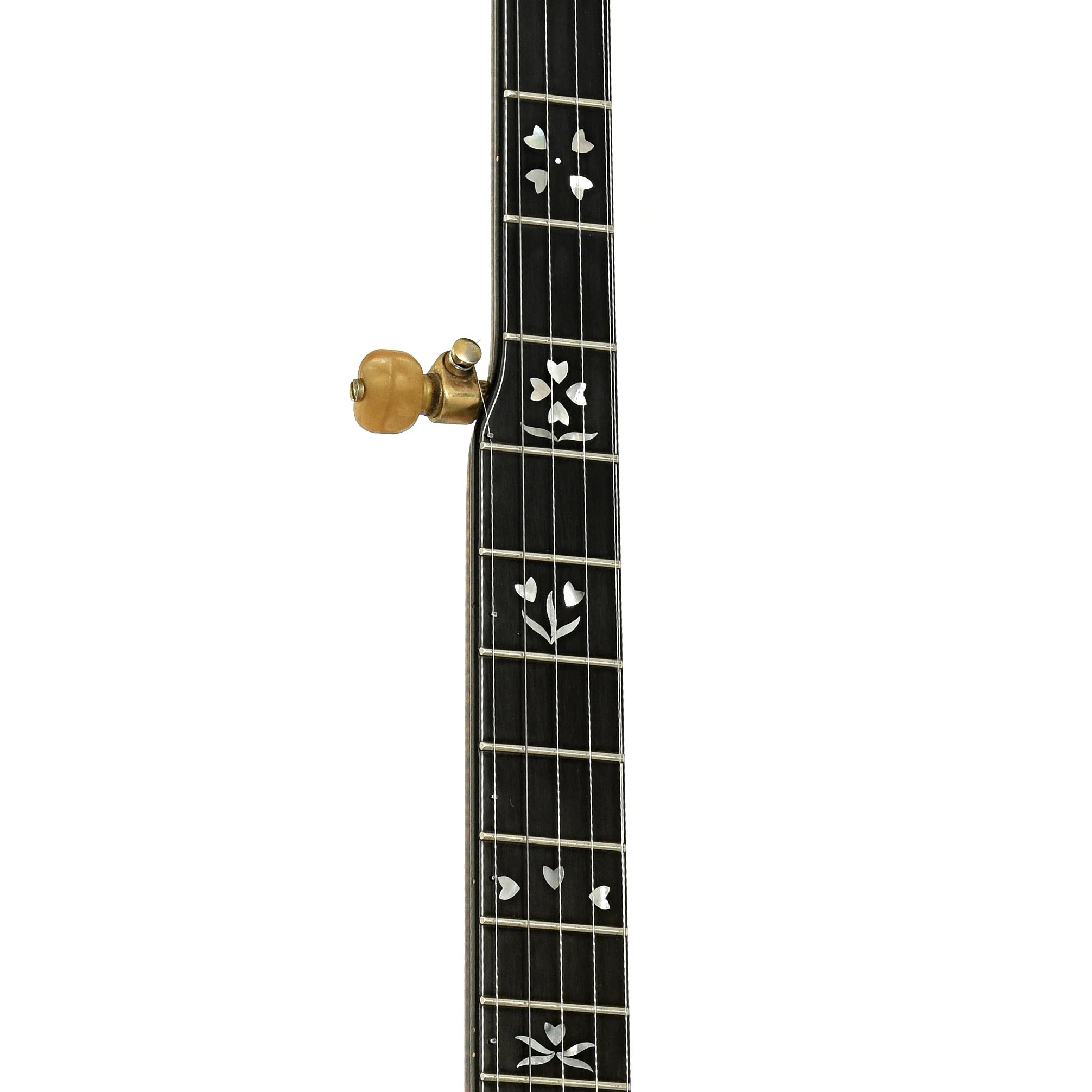 Stelling Sonny Osborne Sonflower Prototype Resonator Banjo (1979) - Image 7