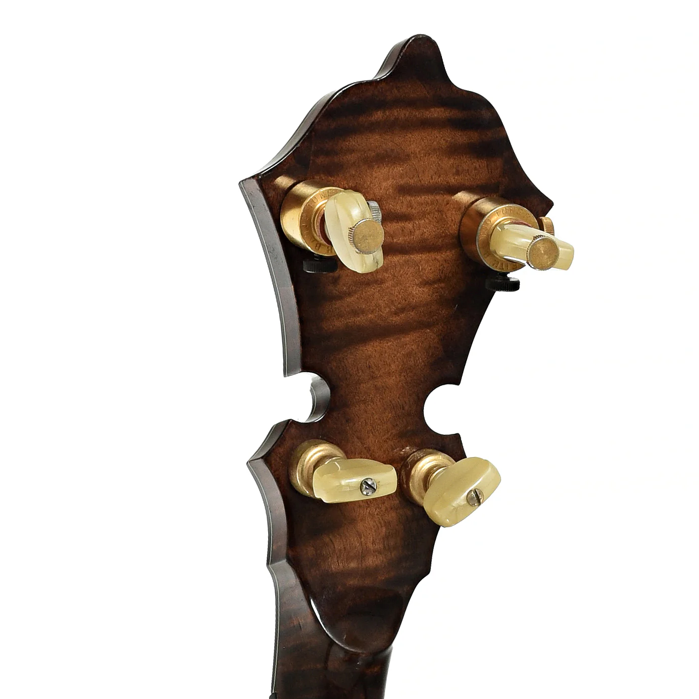 Stelling Sonny Osborne Sonflower Prototype Resonator Banjo (1979) - Image 9