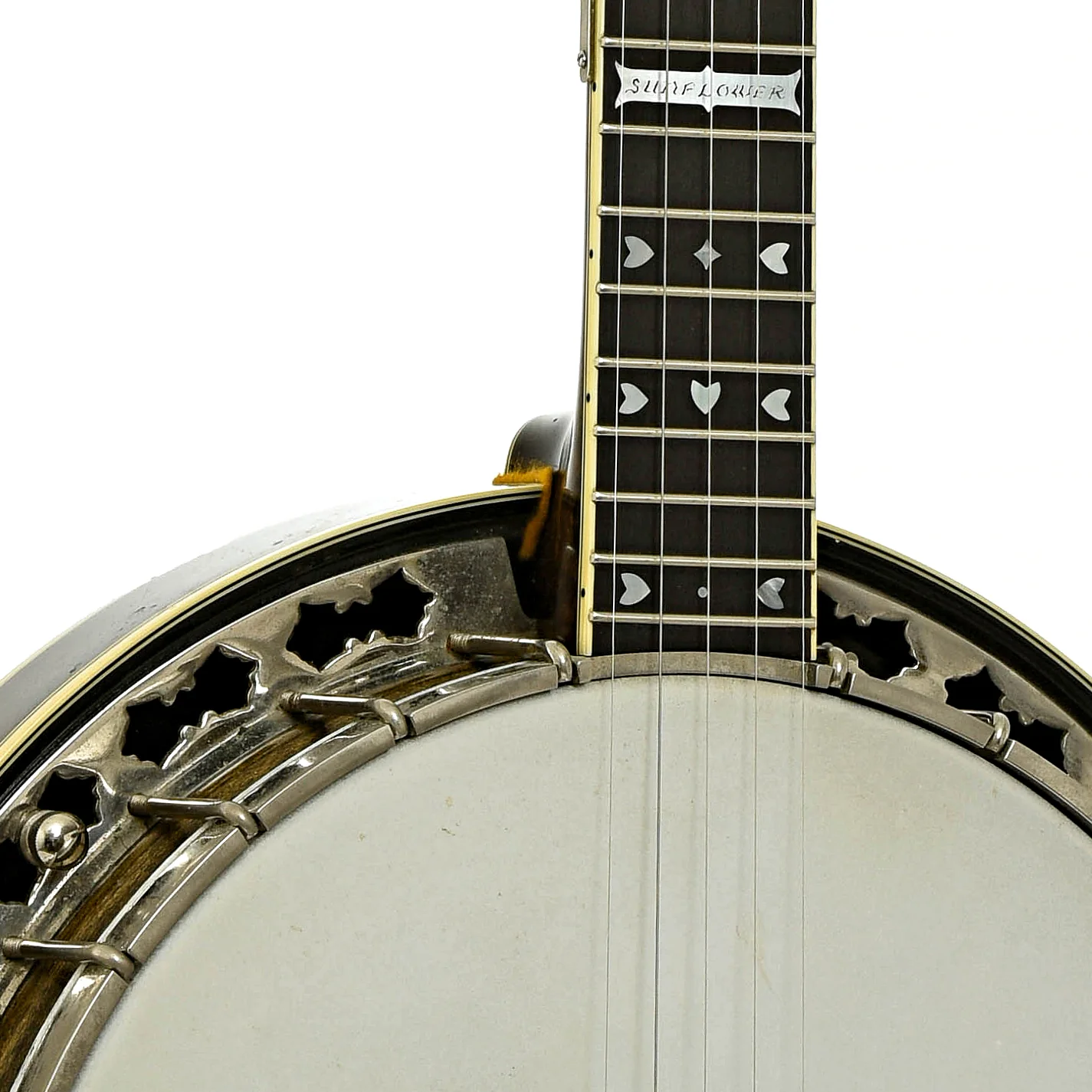 Stelling Sunflower Resonator Banjo (1986) - Image 6