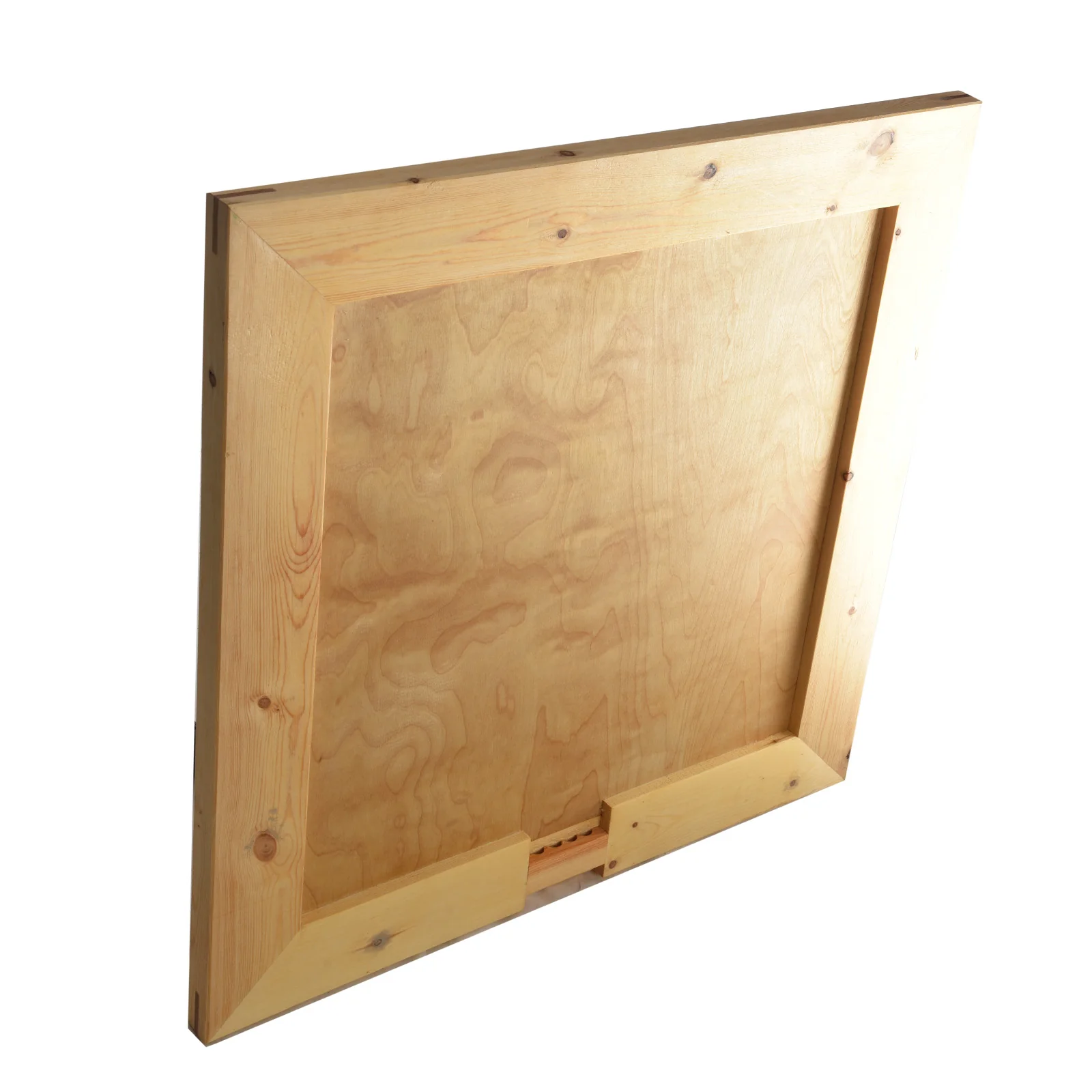 Step-A-Tune Portable Dance Floor - Image 4