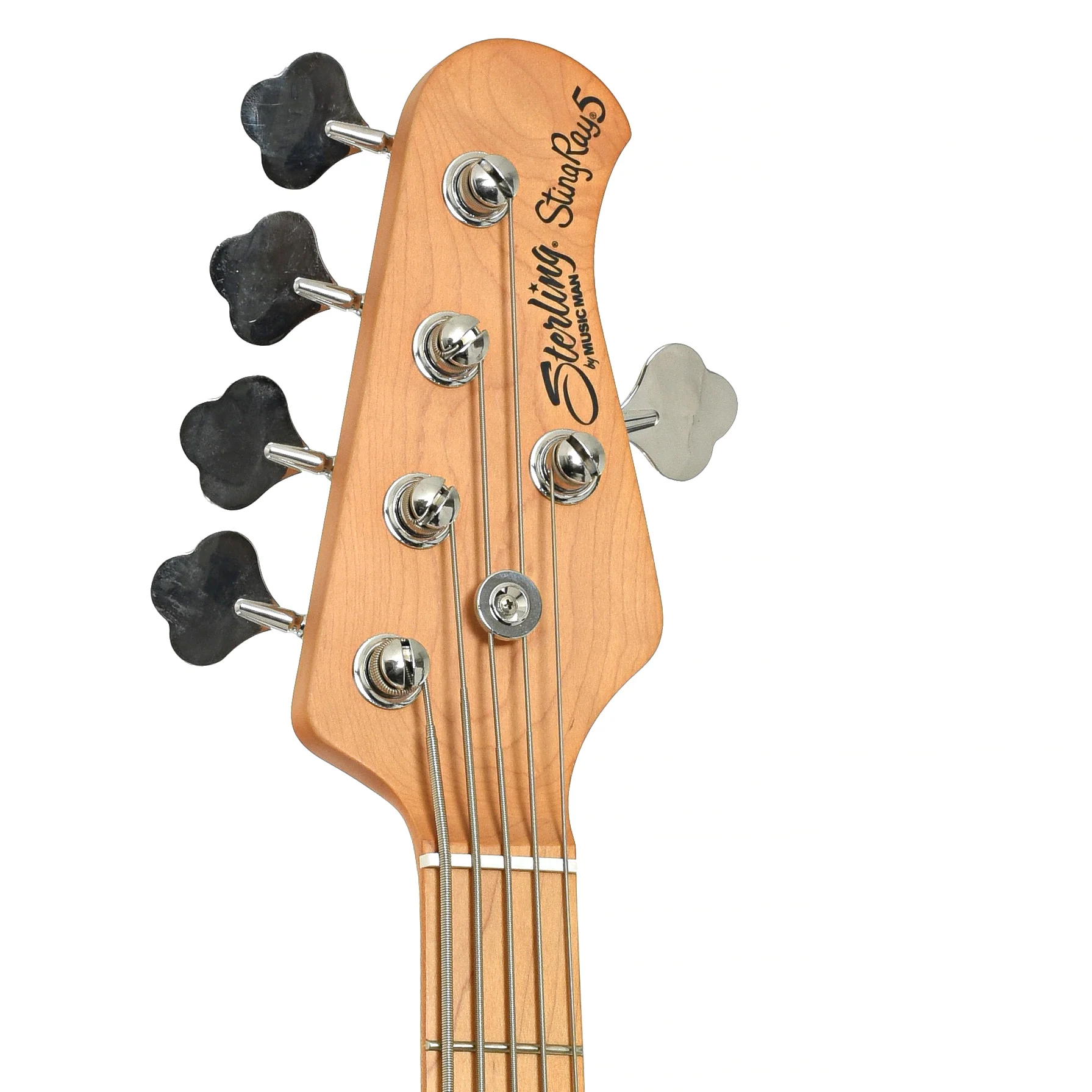 Sterling by Music Man 5-String Electric Bass (2020s) - Image 8