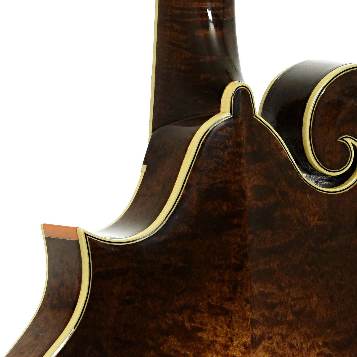 Stiver Model F Mandolin (1989) - Image 10