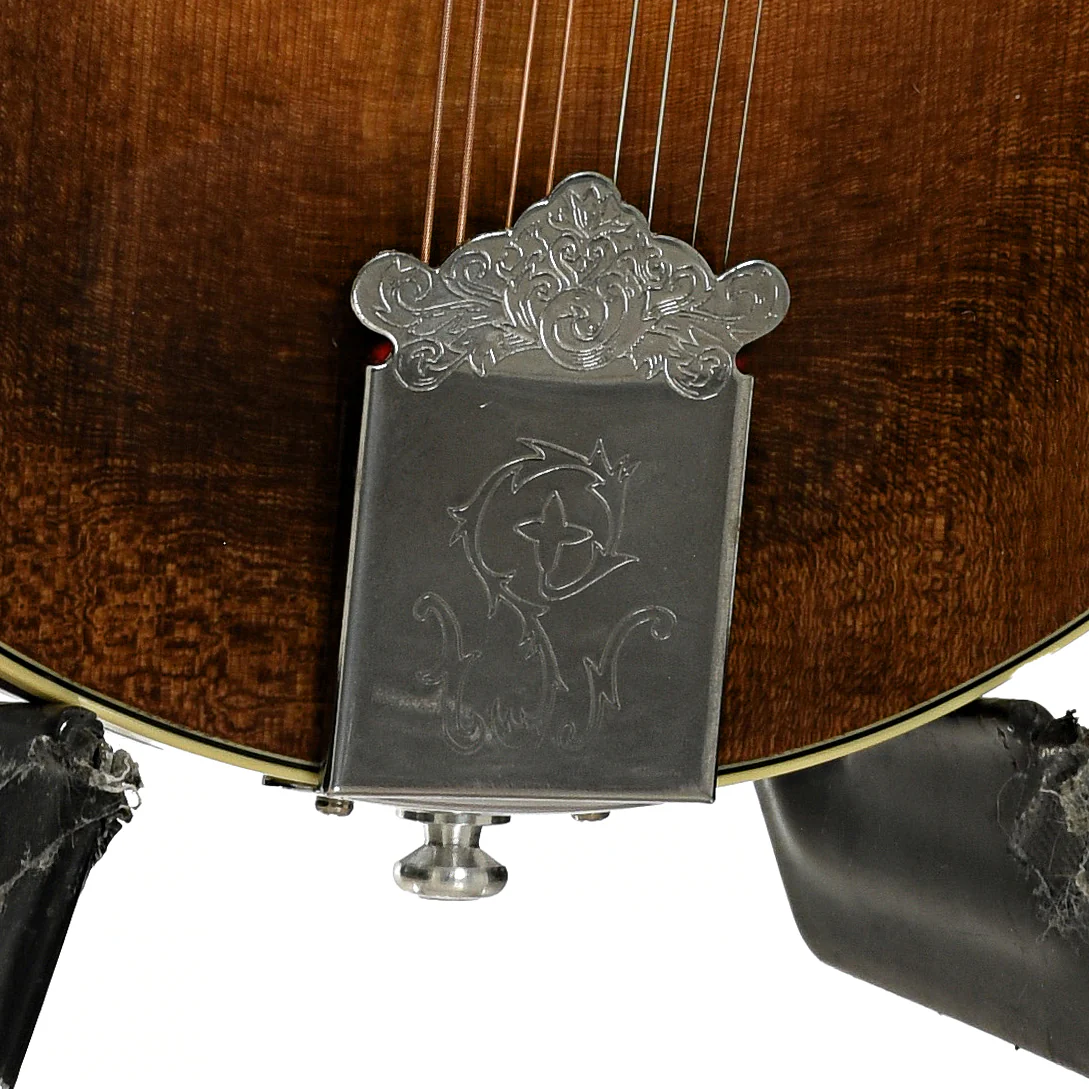 Stiver Model F Mandolin (1989) - Image 5