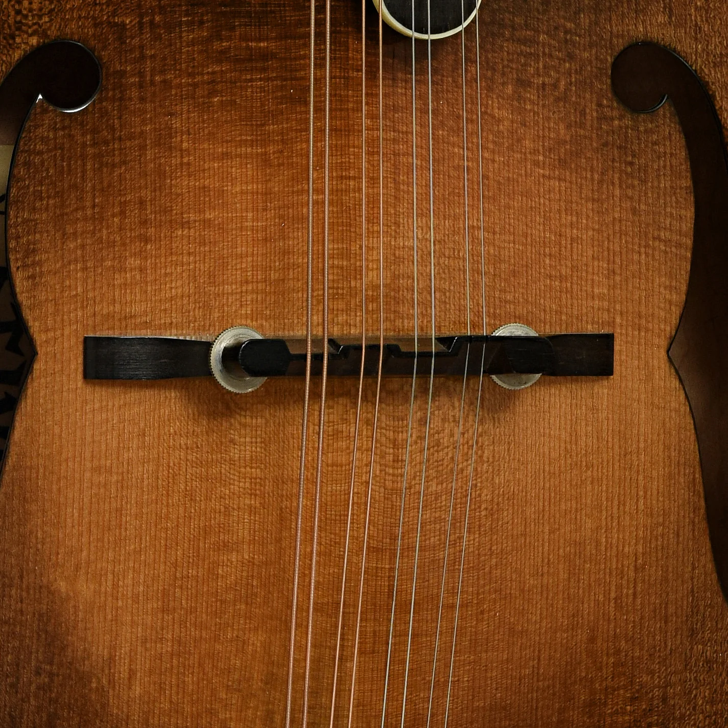 Stiver Model F Mandolin (1989) - Image 6