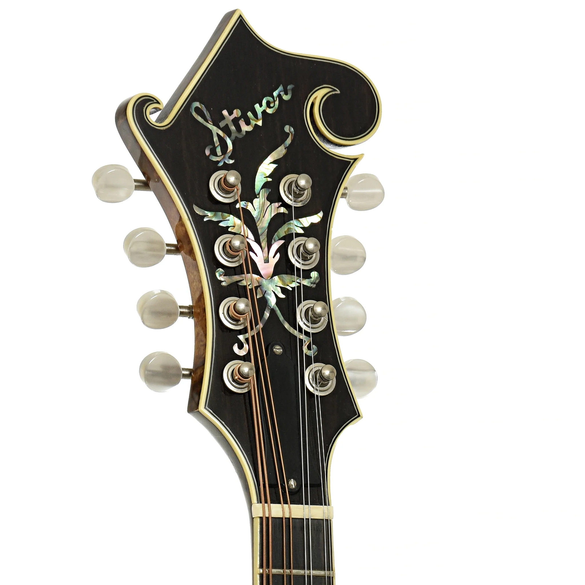 Stiver Model F Mandolin (1989) - Image 8