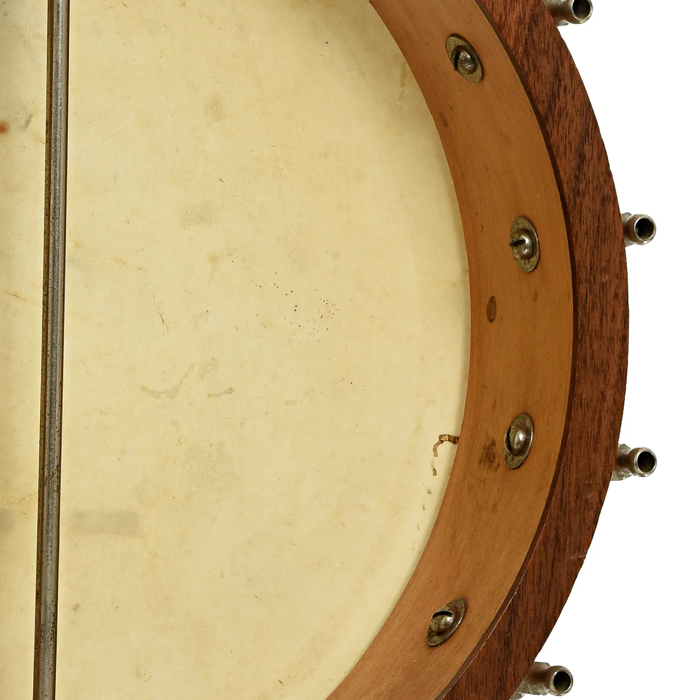 Stromberg Voisinet Tenor Banjo (1920s) - Image 10