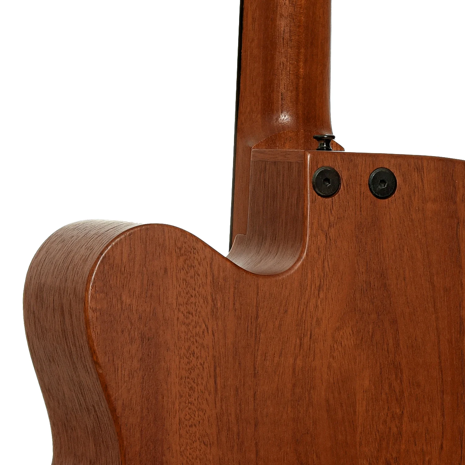 Tacoma CB10C Thunderchief Fretless Acoustic-Electric Bass (2003) - Image 10