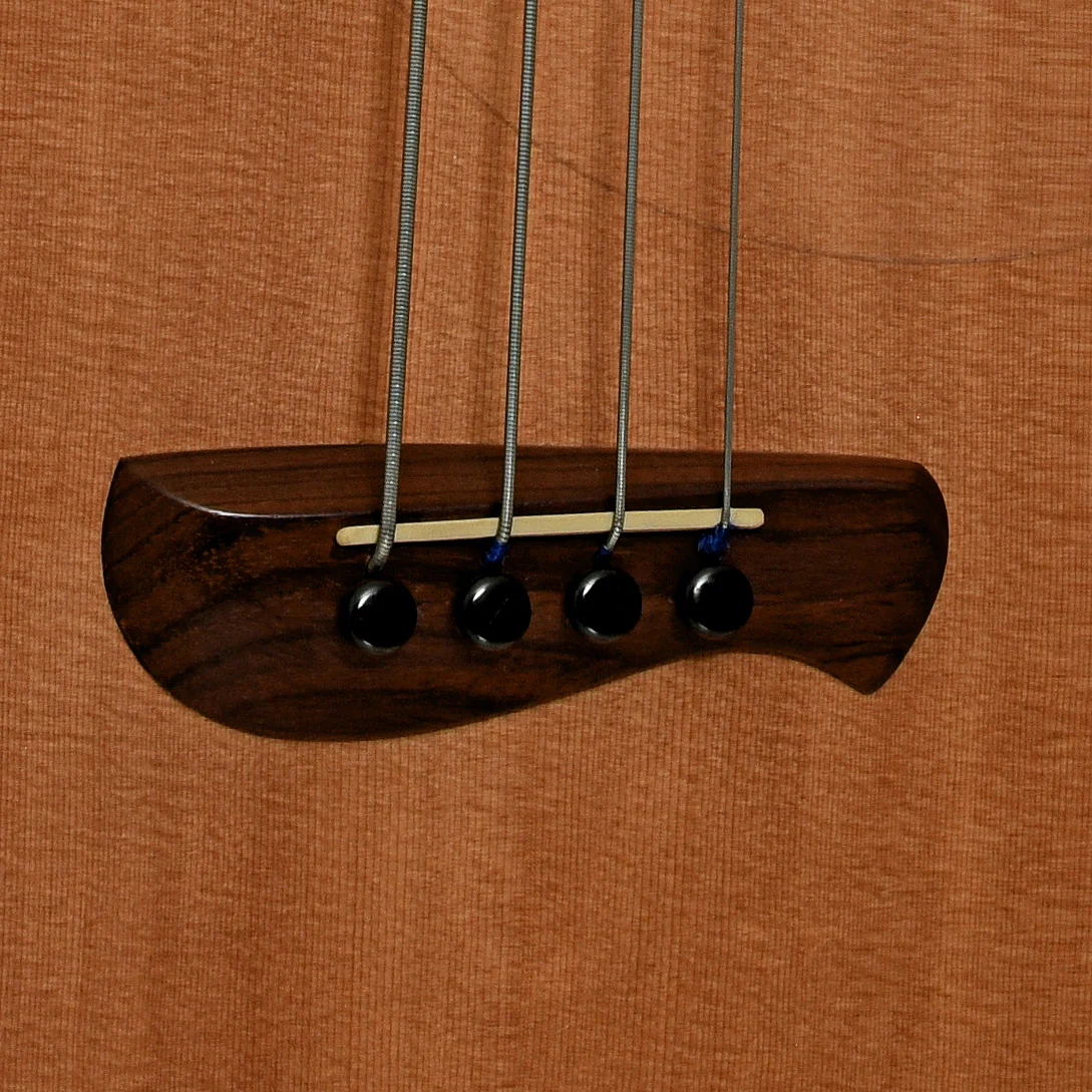 Tacoma CB10C Thunderchief Fretless Acoustic-Electric Bass (2003) - Image 5