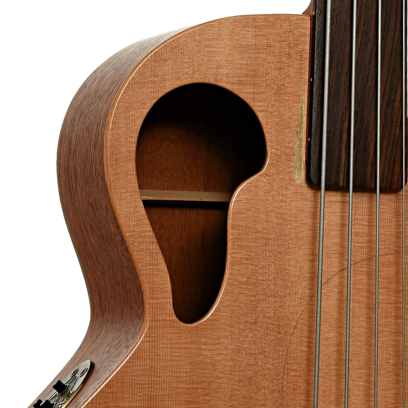 Tacoma CB10C Thunderchief Fretless Acoustic-Electric Bass (2003) - Image 6