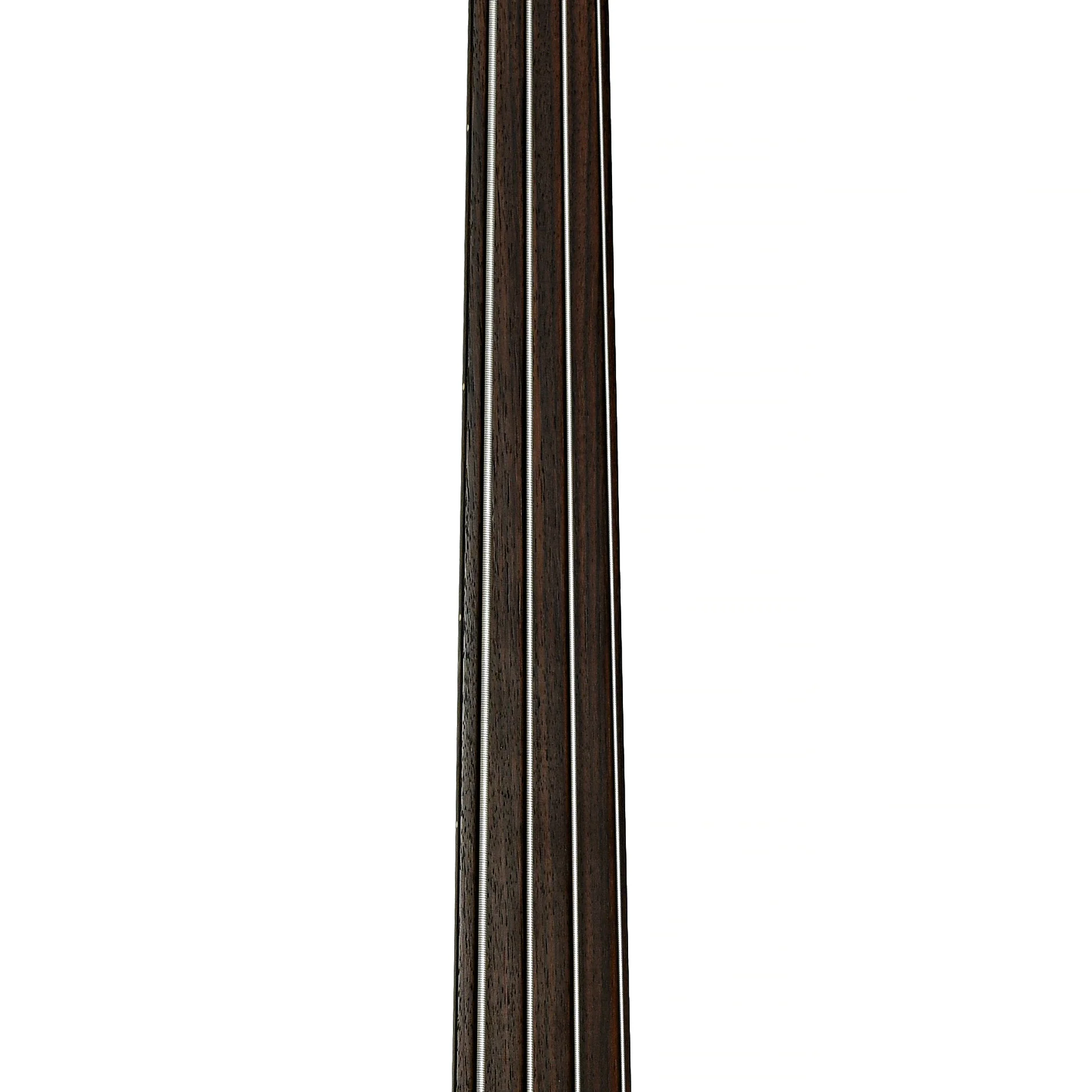 Tacoma CB10C Thunderchief Fretless Acoustic-Electric Bass (2003) - Image 7