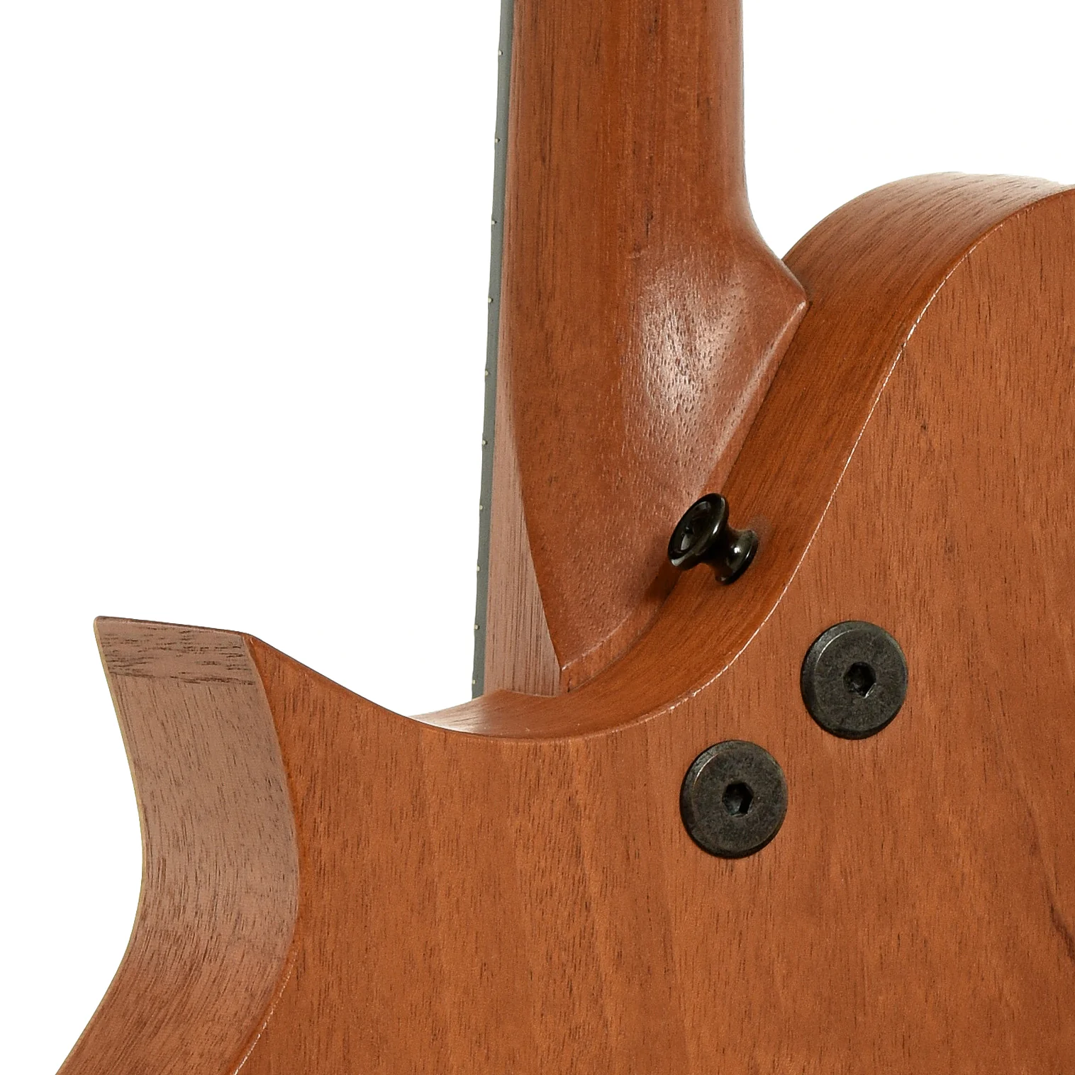 Tacoma M-1 Mandolin (1999) - Image 10
