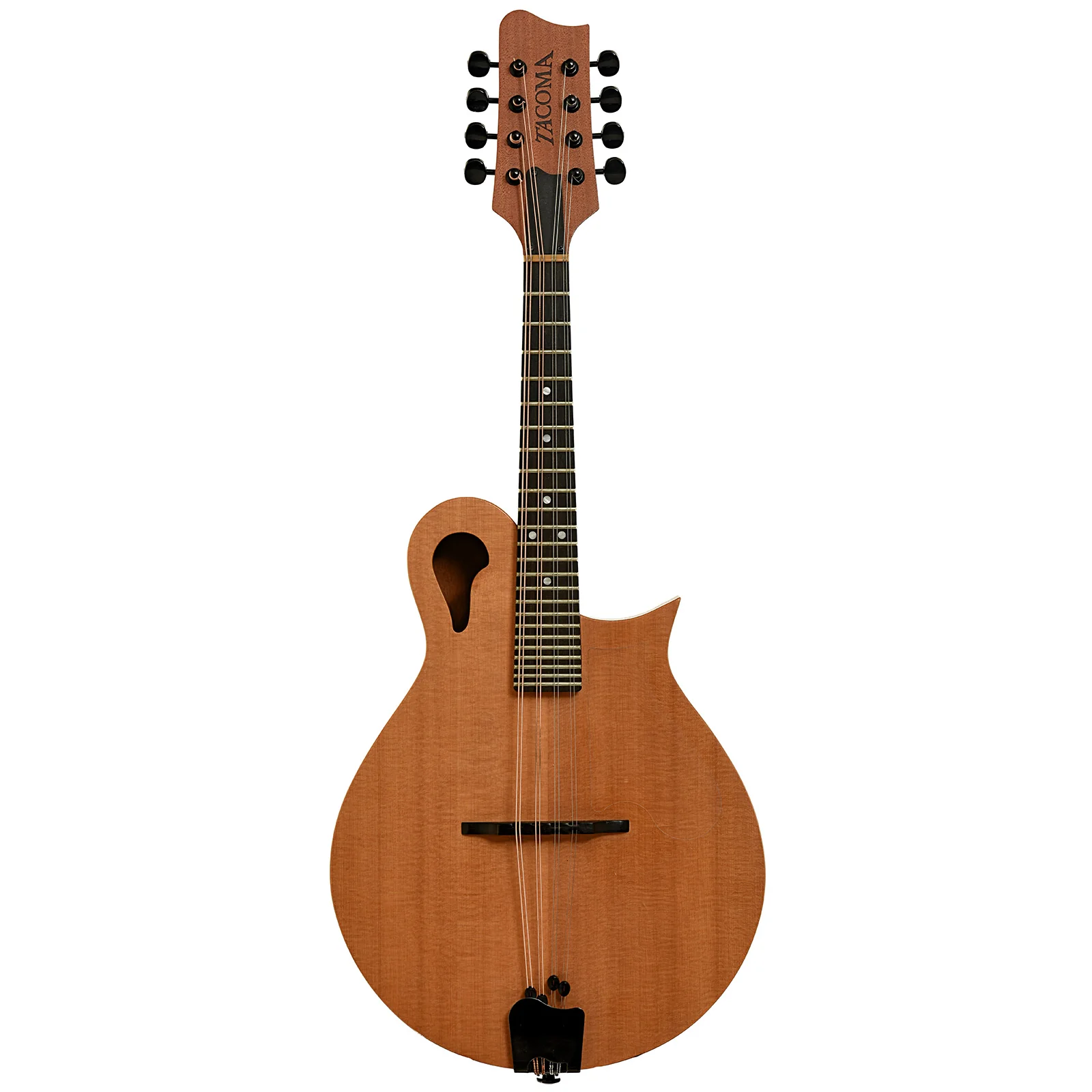 Tacoma M-1 Mandolin (1999) - Image 14