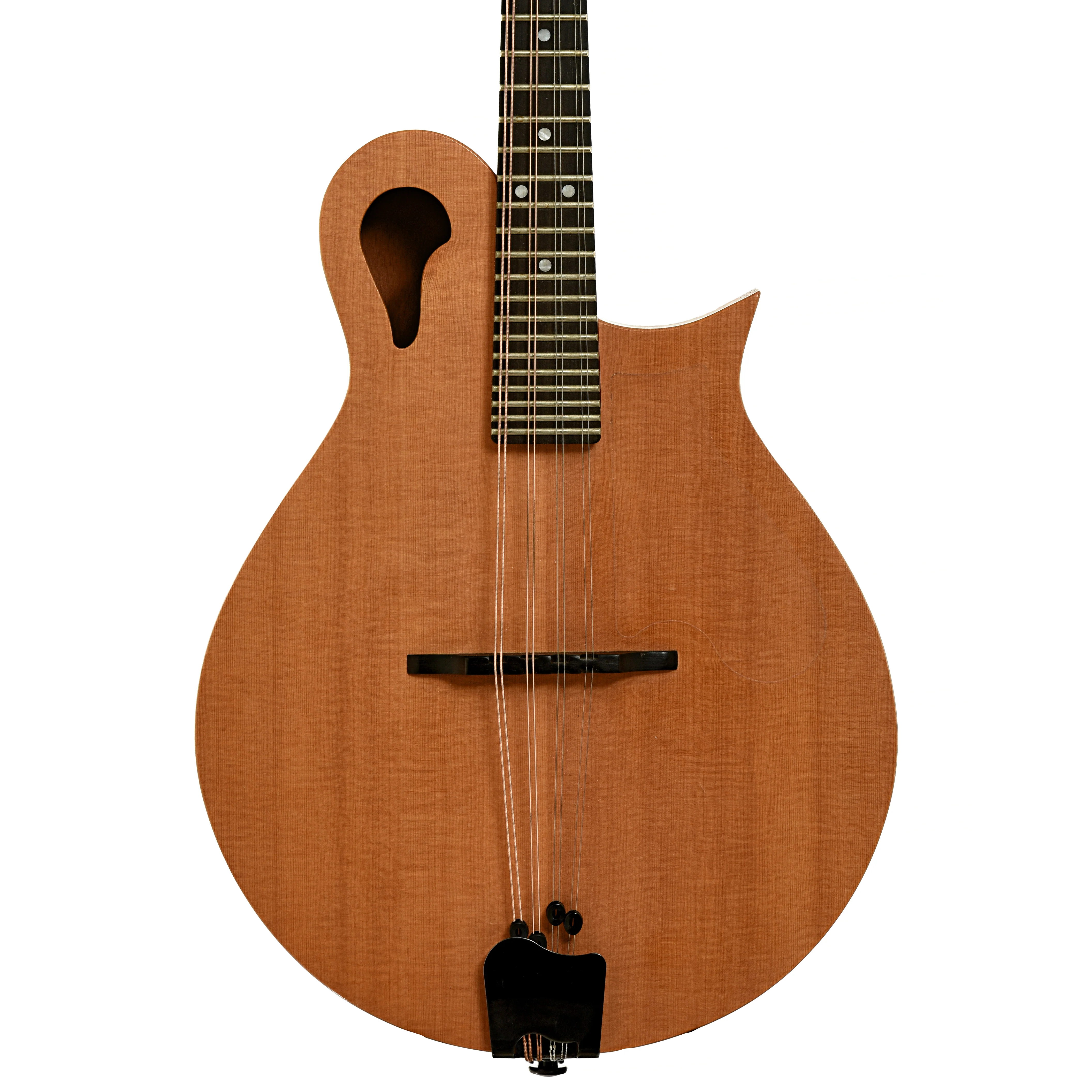 Tacoma M-1 Mandolin (1999) - Image 2