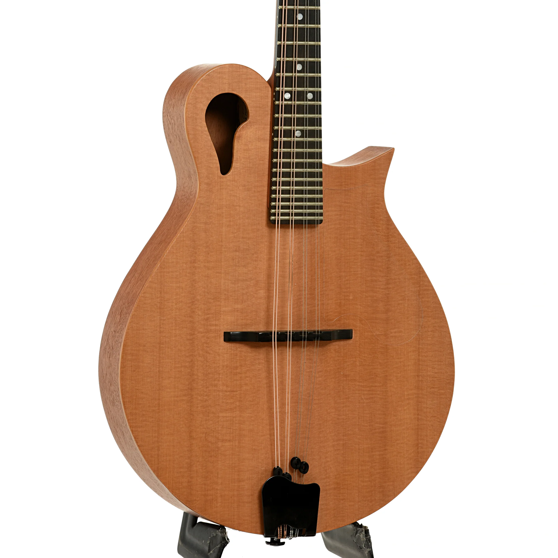 Tacoma M-1 Mandolin (1999) - Image 4