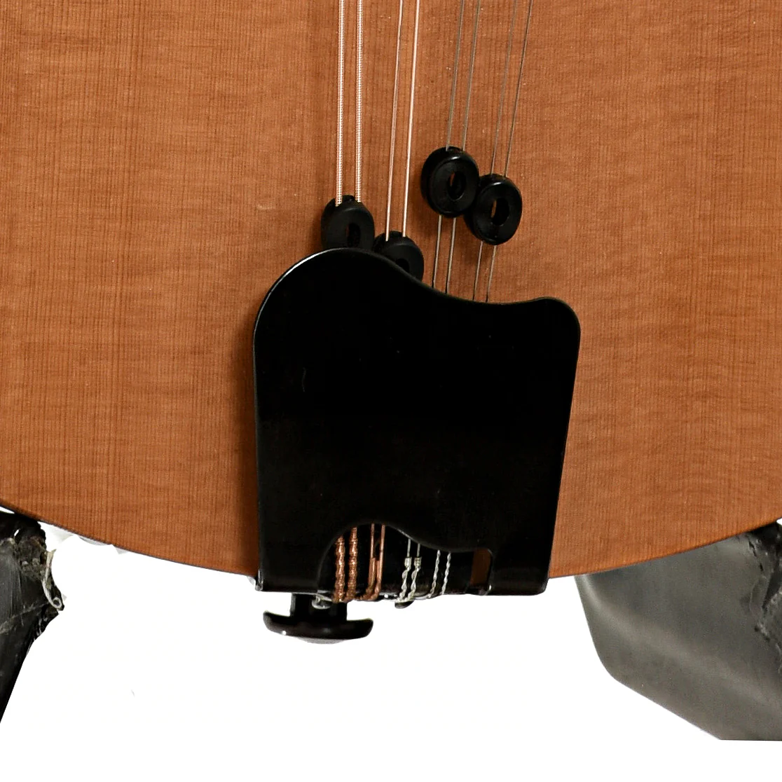 Tacoma M-1 Mandolin (1999) - Image 5
