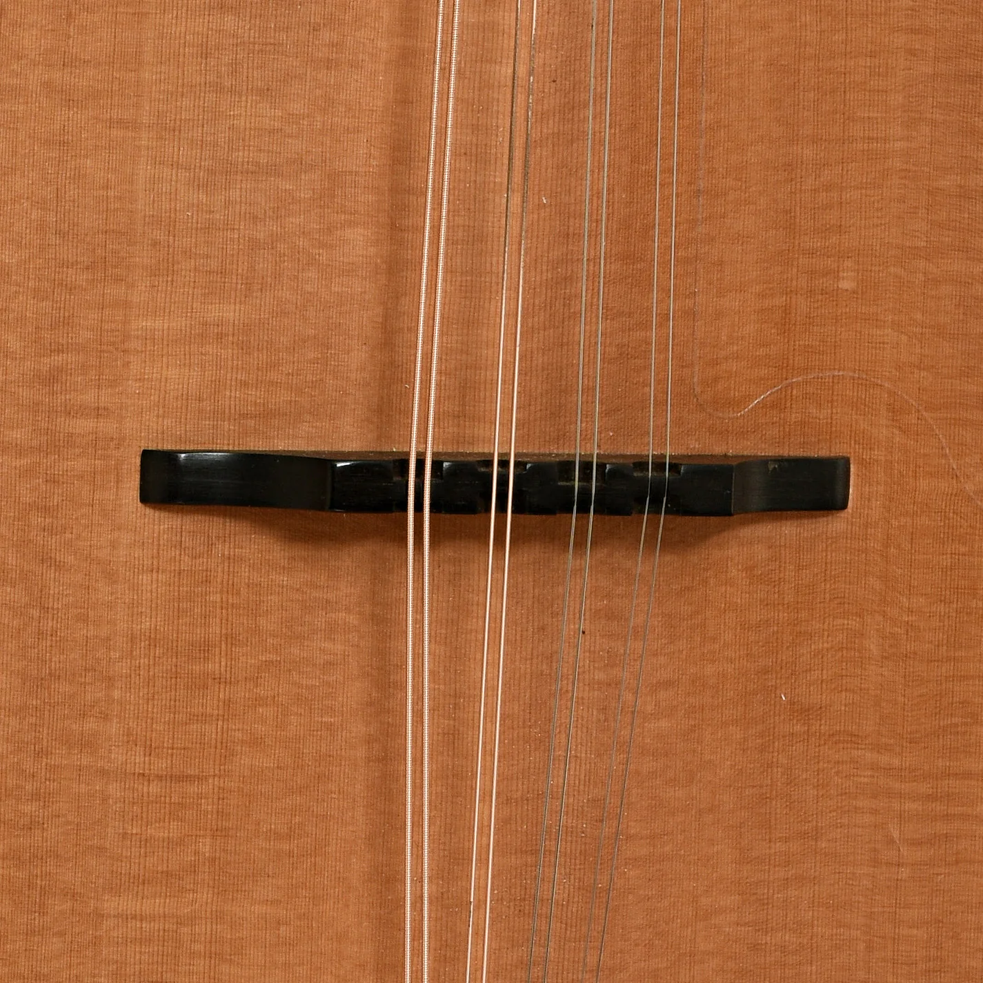 Tacoma M-1 Mandolin (1999) - Image 6