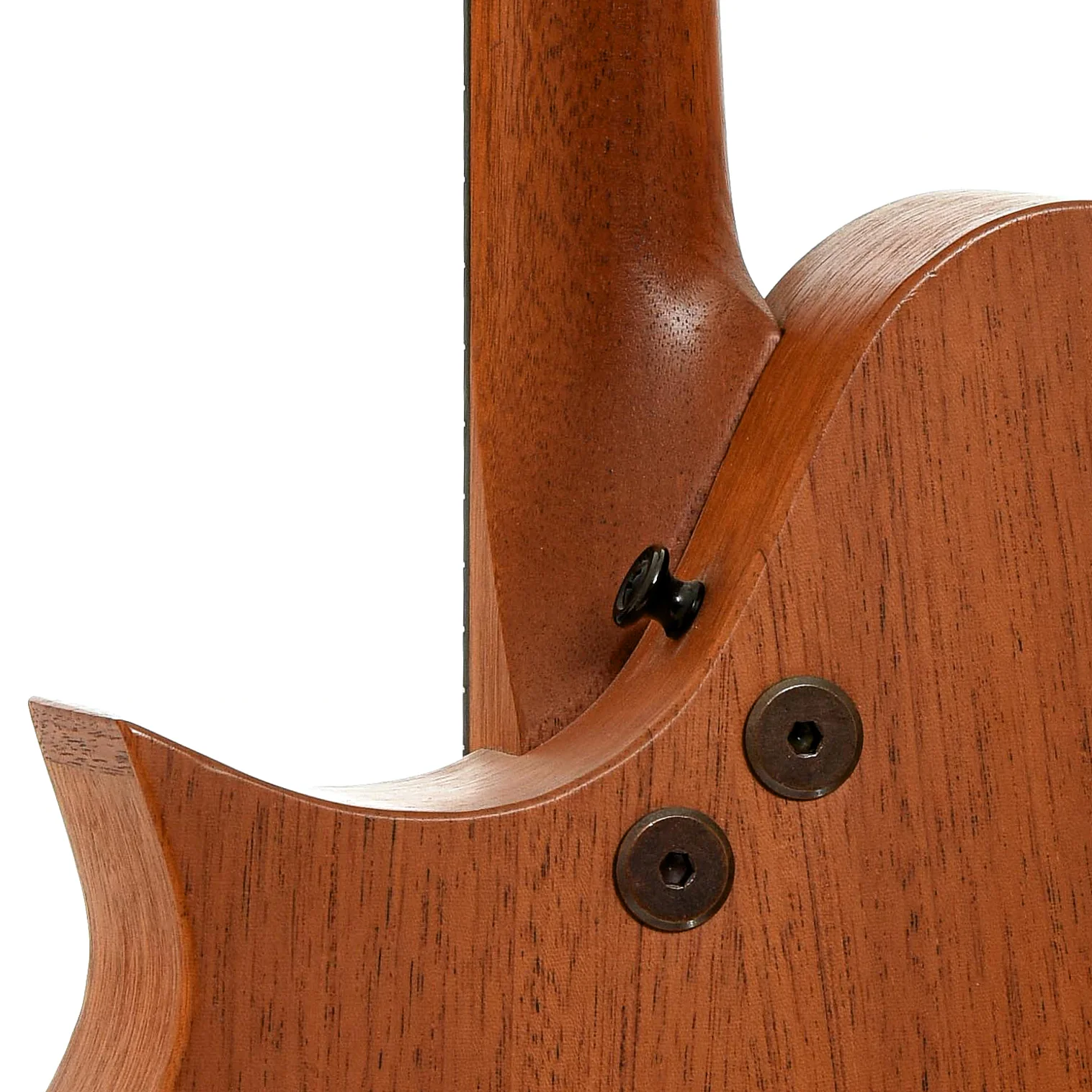 Tacoma M-1 Mandolin (2001) - Image 10