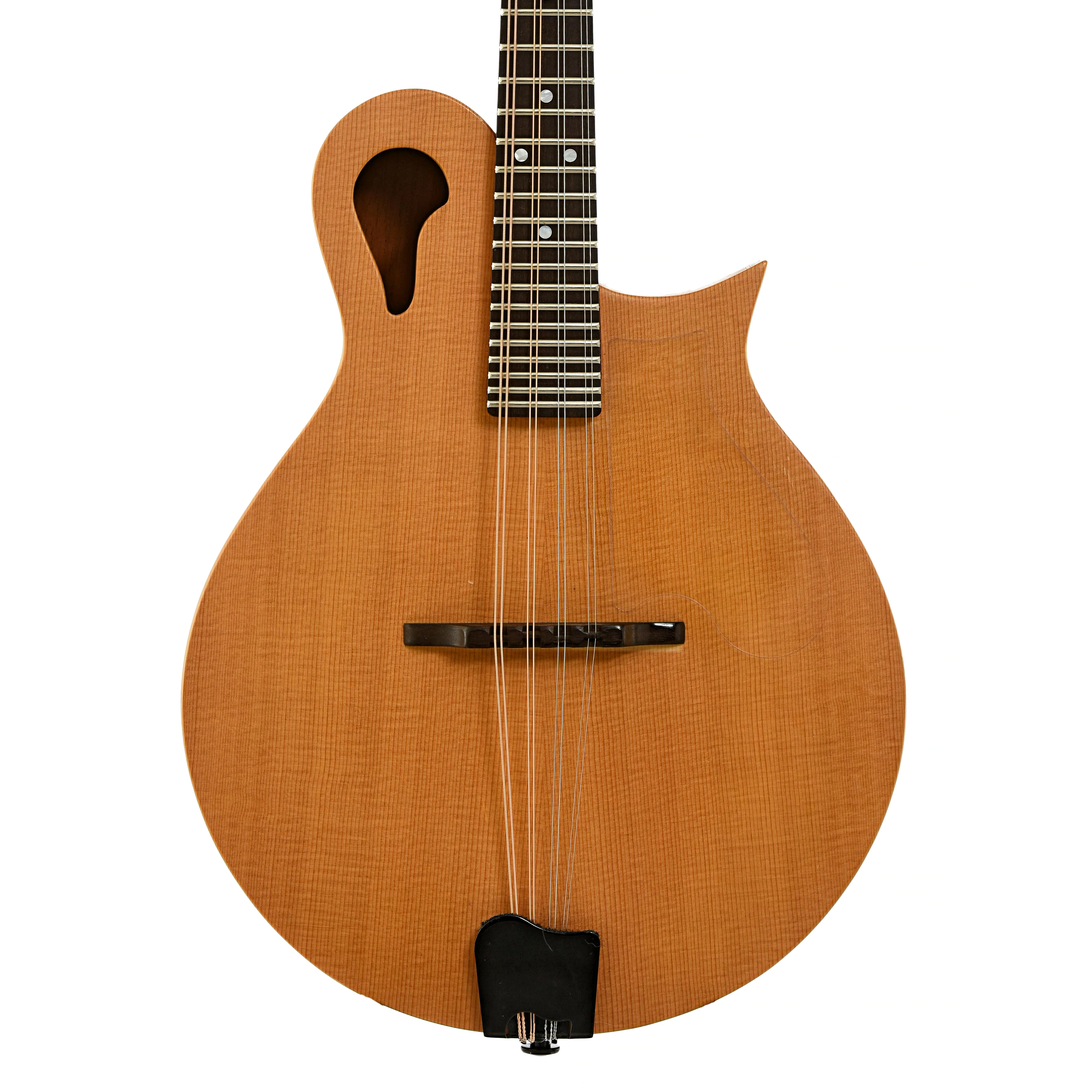 Tacoma M-1 Mandolin (2001) - Image 2