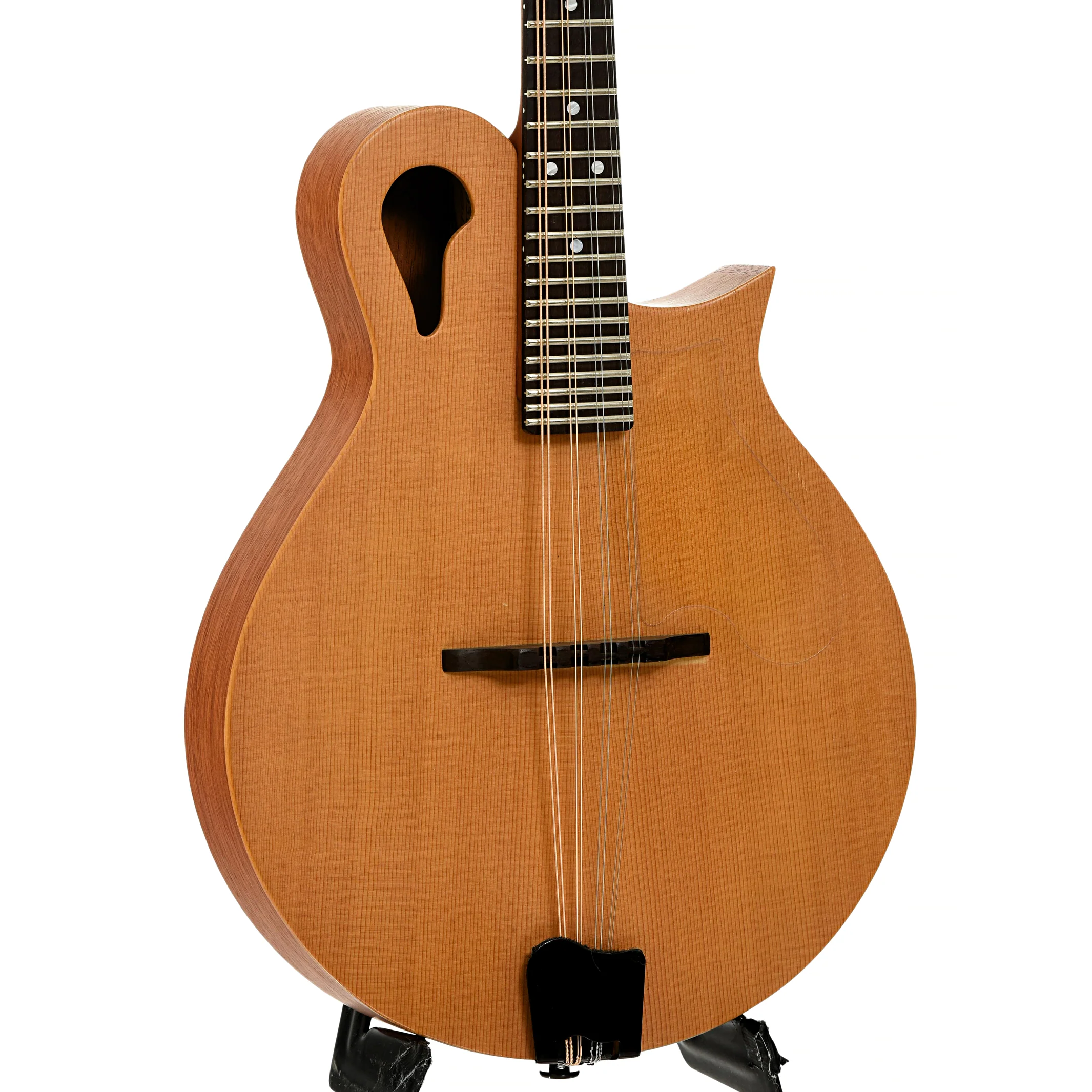 Tacoma M-1 Mandolin (2001) - Image 4