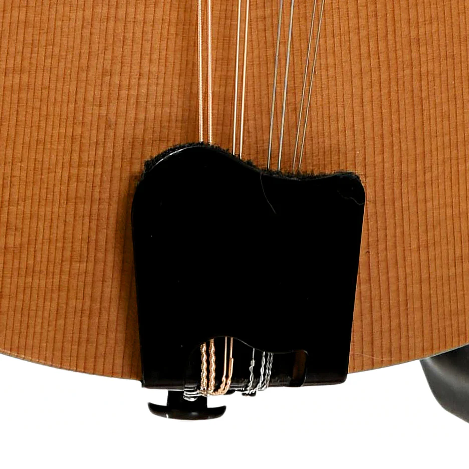 Tacoma M-1 Mandolin (2001) - Image 5