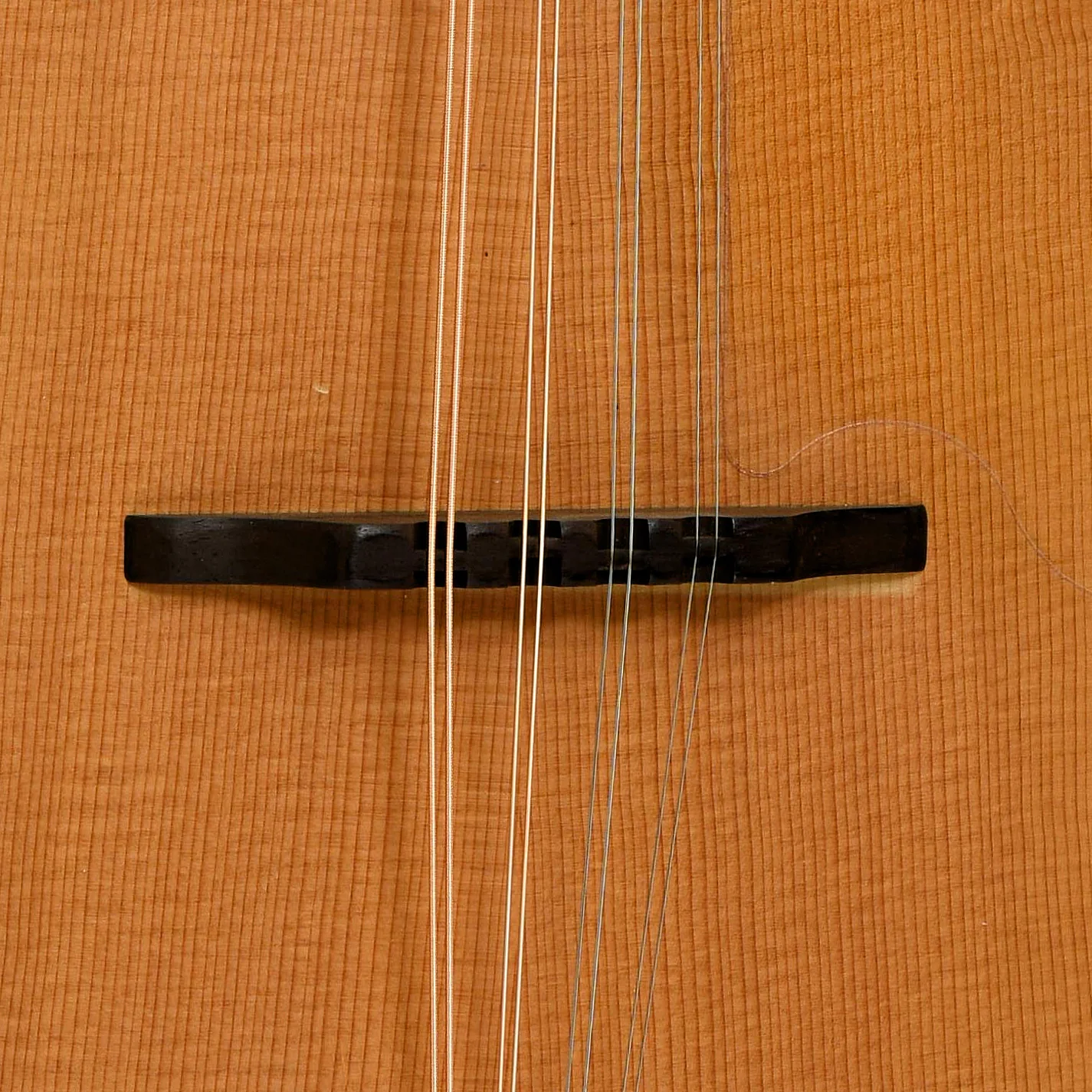 Tacoma M-1 Mandolin (2001) - Image 6
