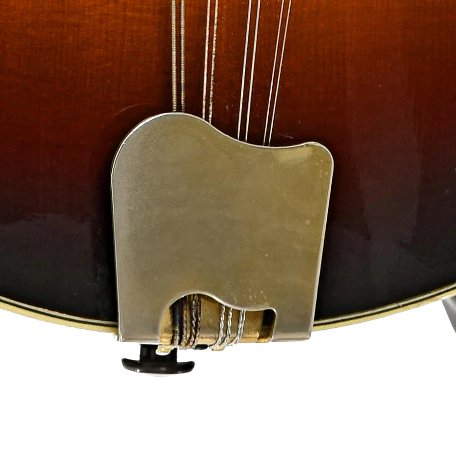 Tacoma M-3 Mandolin (1999) - Image 5
