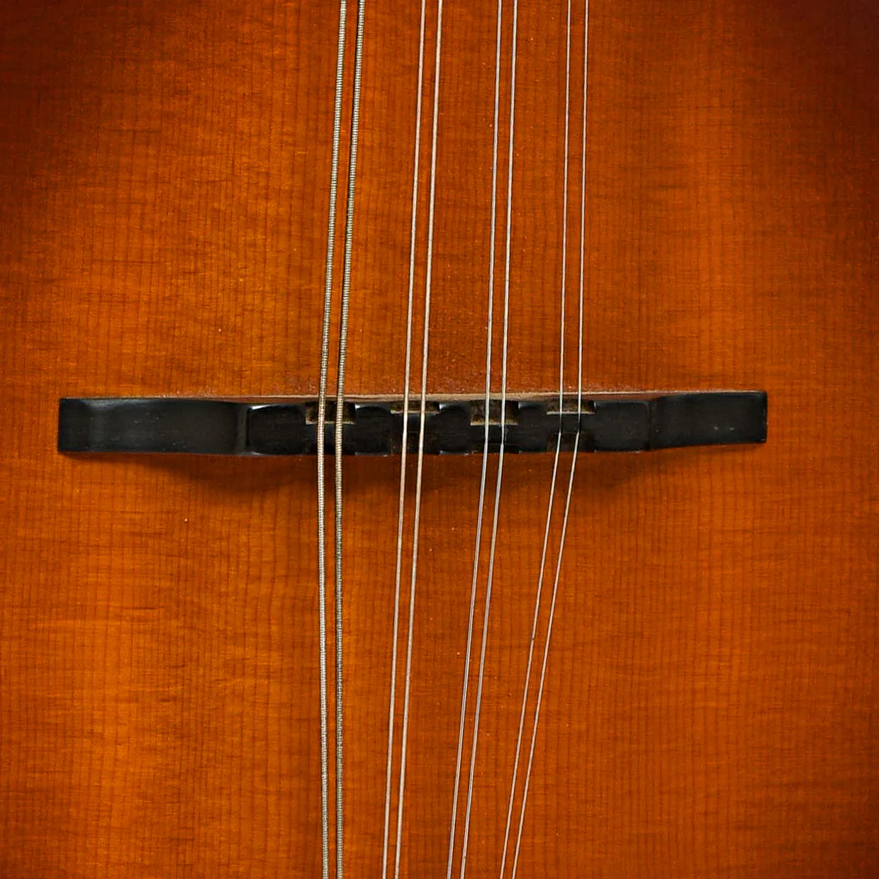 Tacoma M-3 Mandolin (1999) - Image 6