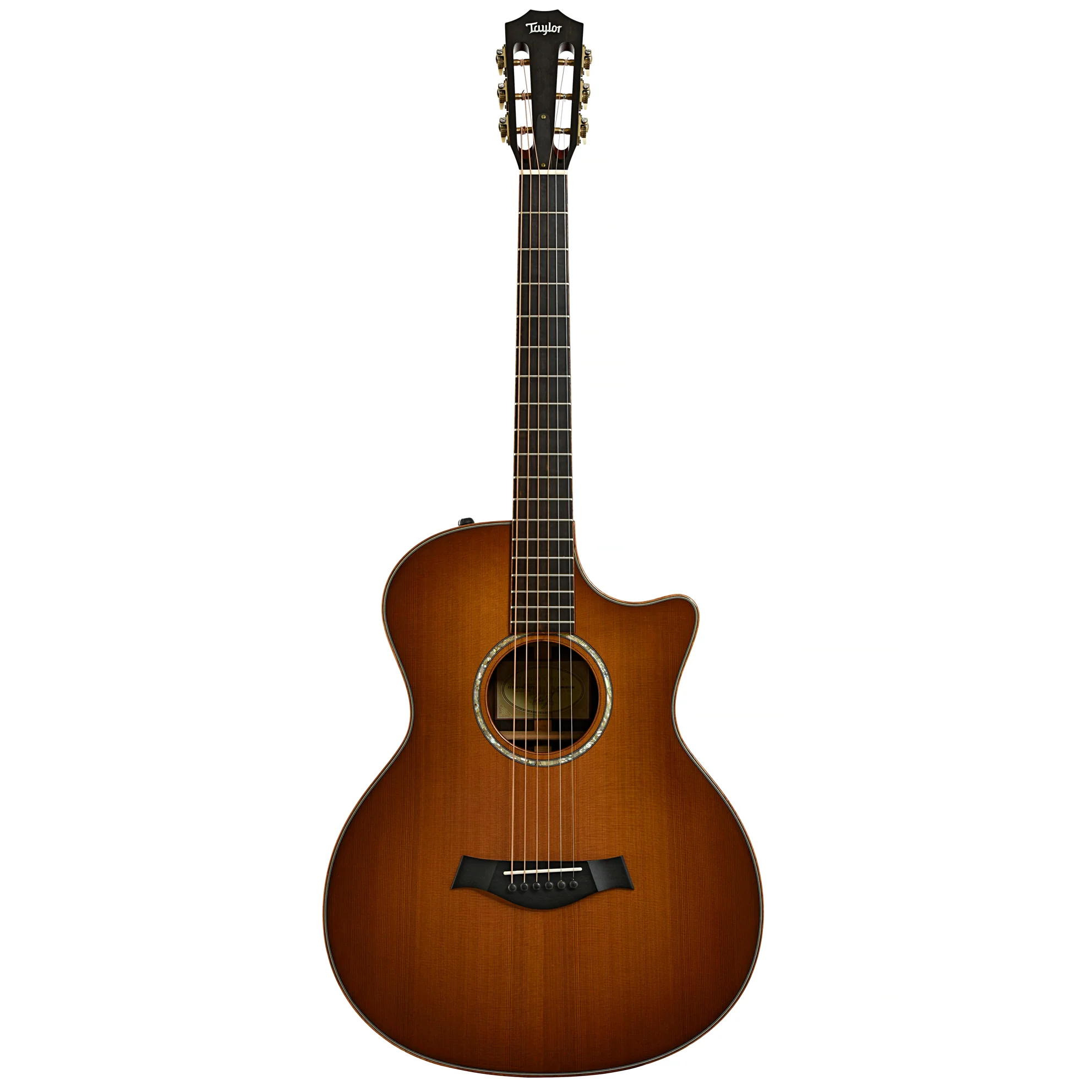 Taylor 12-Fret GA LTD Acoustic-Electric Guitar (2011) - Image 14