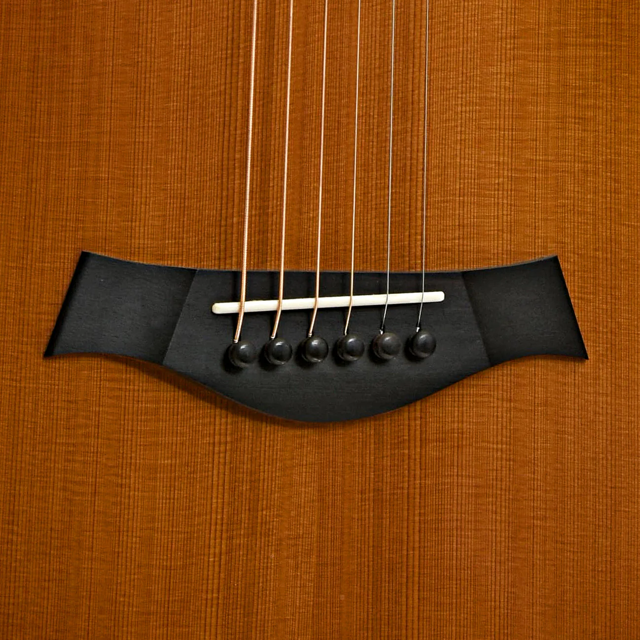 Taylor 12-Fret GA LTD Acoustic-Electric Guitar (2011) - Image 5