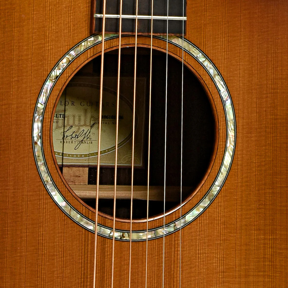 Taylor 12-Fret GA LTD Acoustic-Electric Guitar (2011) - Image 6