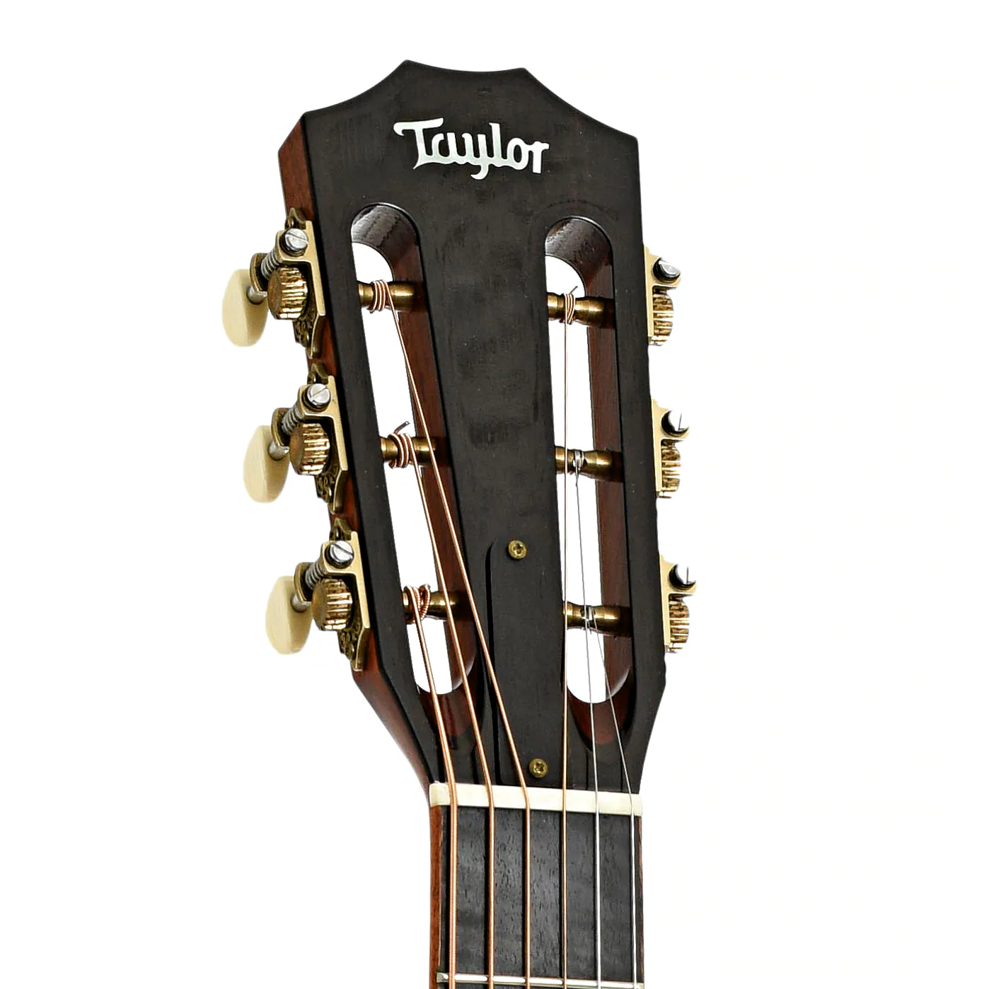 Taylor 12-Fret GA LTD Acoustic-Electric Guitar (2011) - Image 8