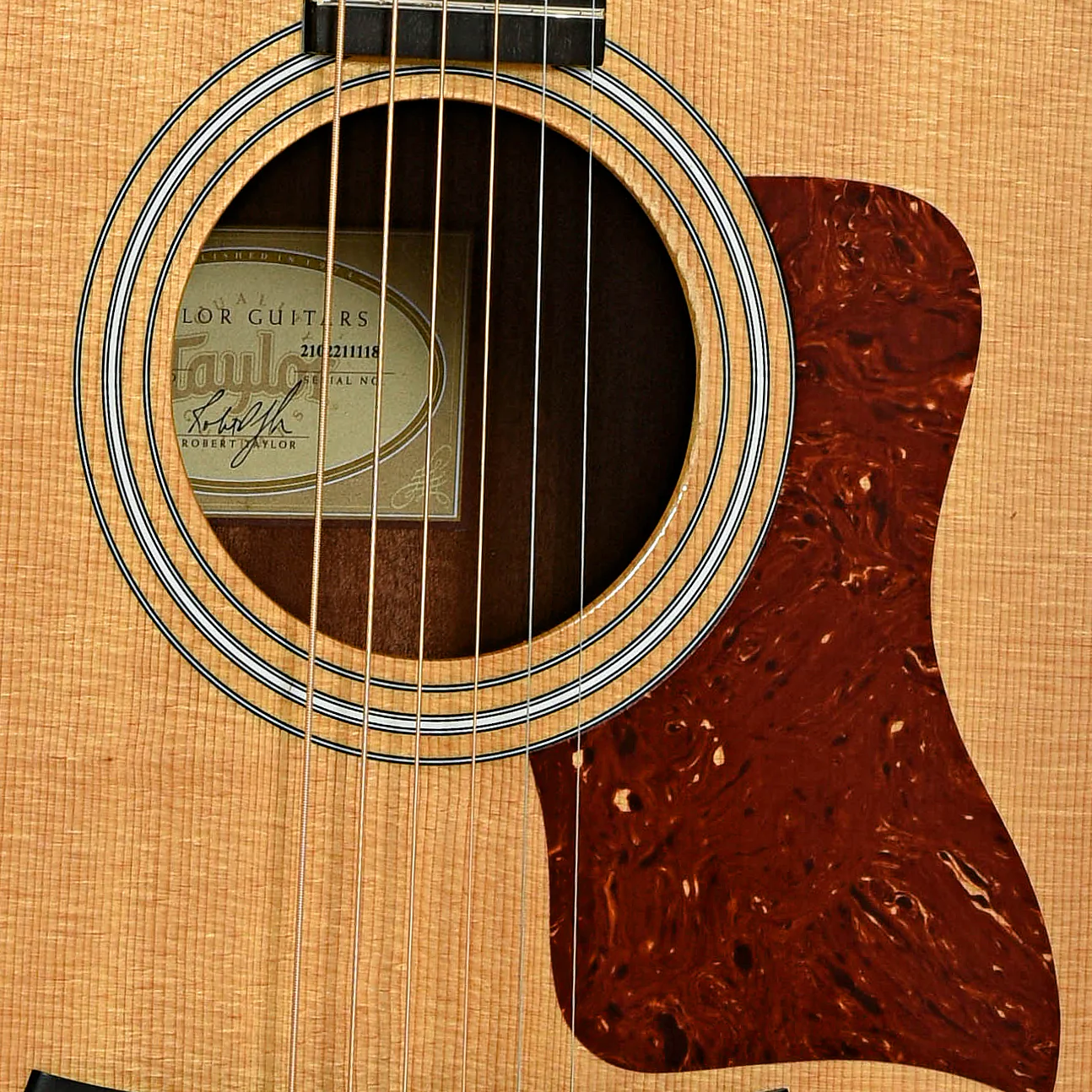 Taylor 210E Acoustic-Electric Guitar (2011) - Image 6