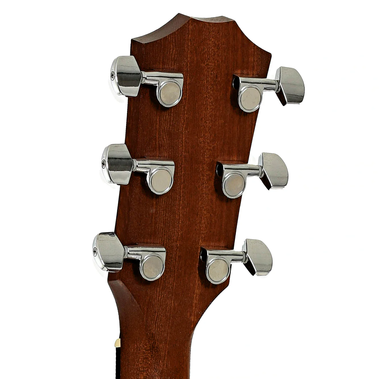 Taylor 210E Acoustic-Electric Guitar (2011) - Image 9