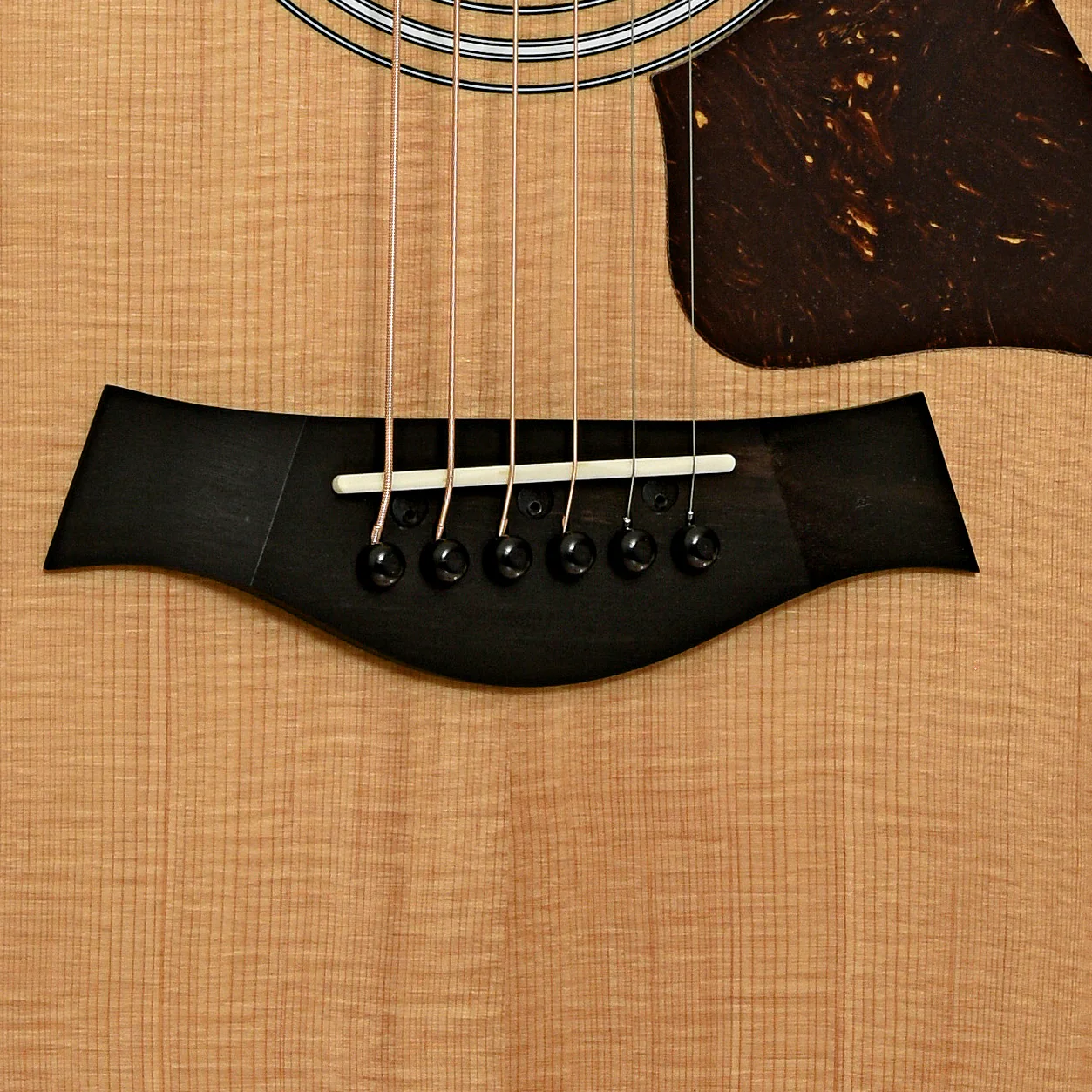 Taylor 212ce Acoustic-Electric Guitar & Gigbag - Image 5
