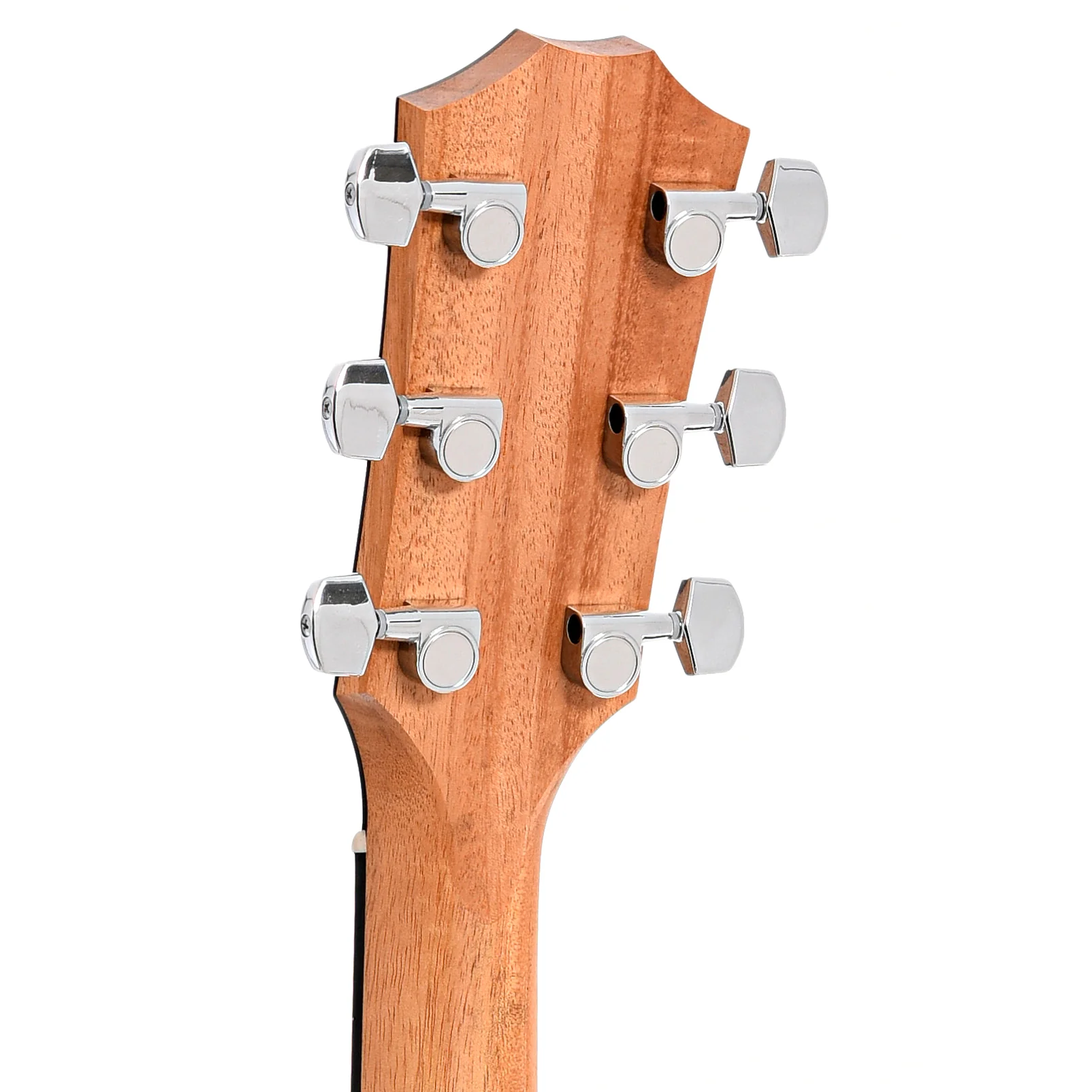 Taylor 214ce Acoustic-Electric Guitar & Gigbag - Image 9