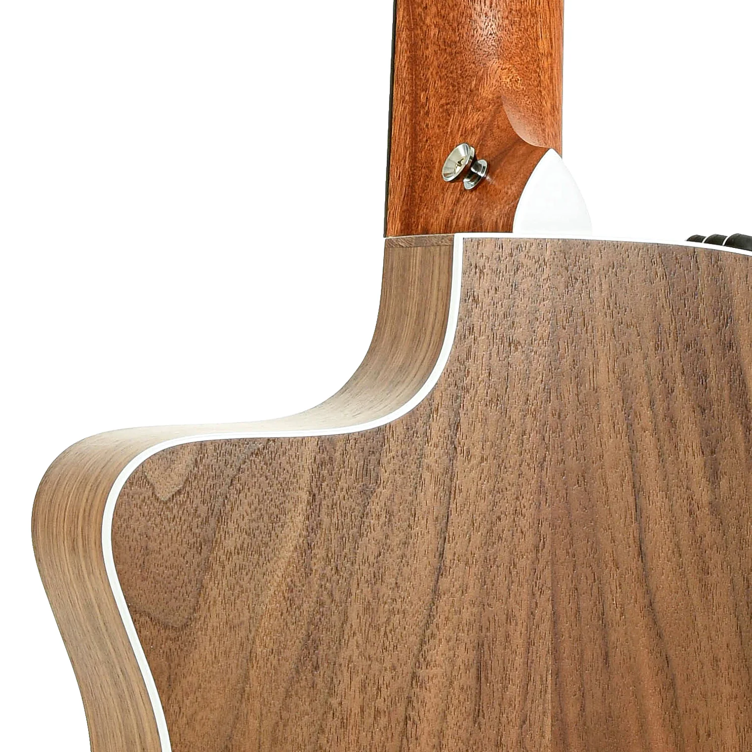 Taylor 214CE-N Nylon String Acoustic-Electric Guitar (2024) - Image 10