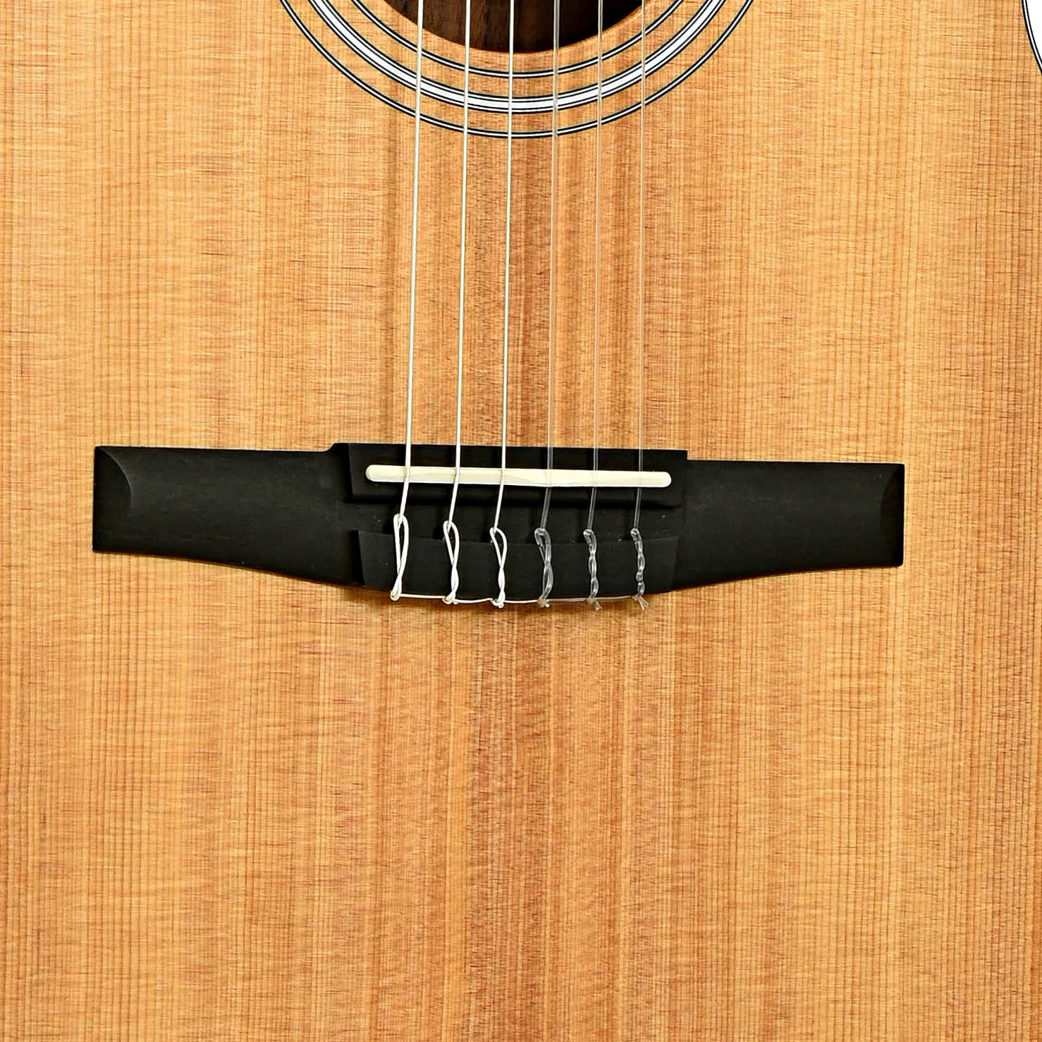 Taylor 214CE-N Nylon String Acoustic-Electric Guitar (2024) - Image 5