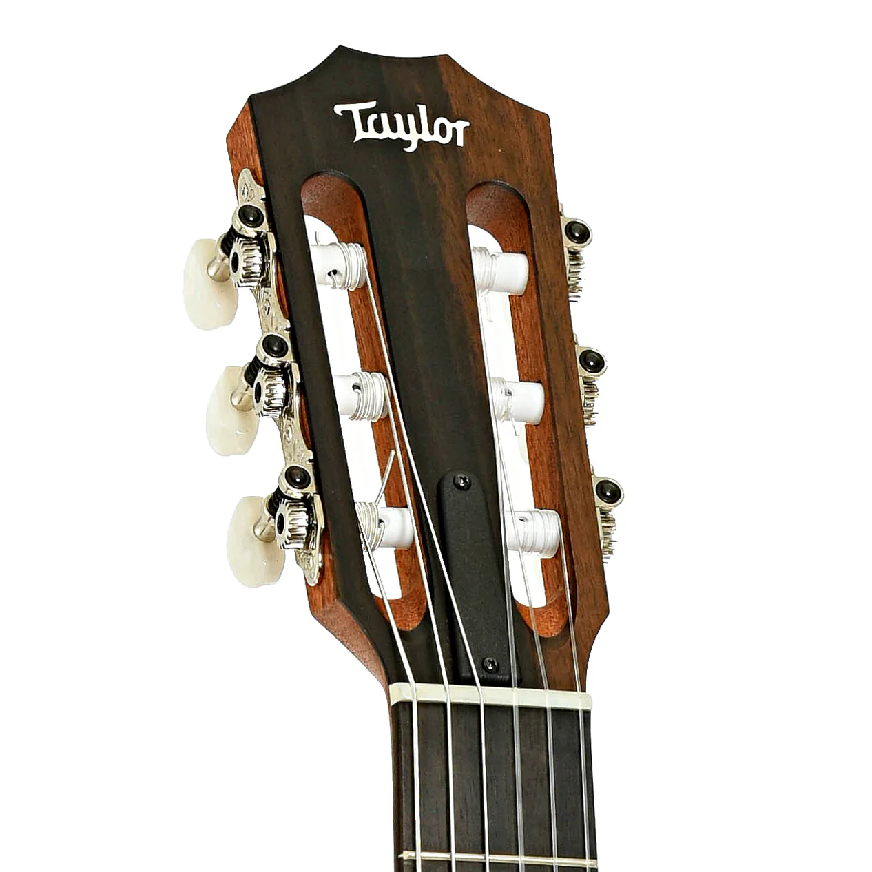 Taylor 214CE-N Nylon String Acoustic-Electric Guitar (2024) - Image 8