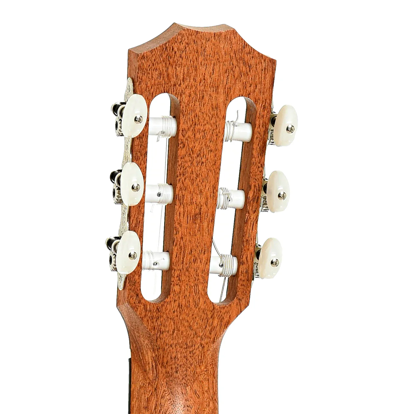 Taylor 214CE-N Nylon String Acoustic-Electric Guitar (2024) - Image 9