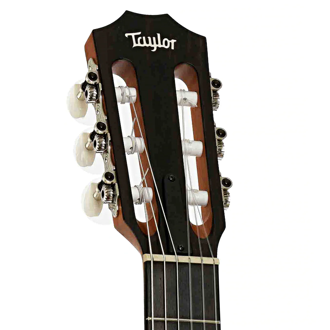 Taylor 214CE-N Nylon String Acoustic Guitar (2022) - Image 8